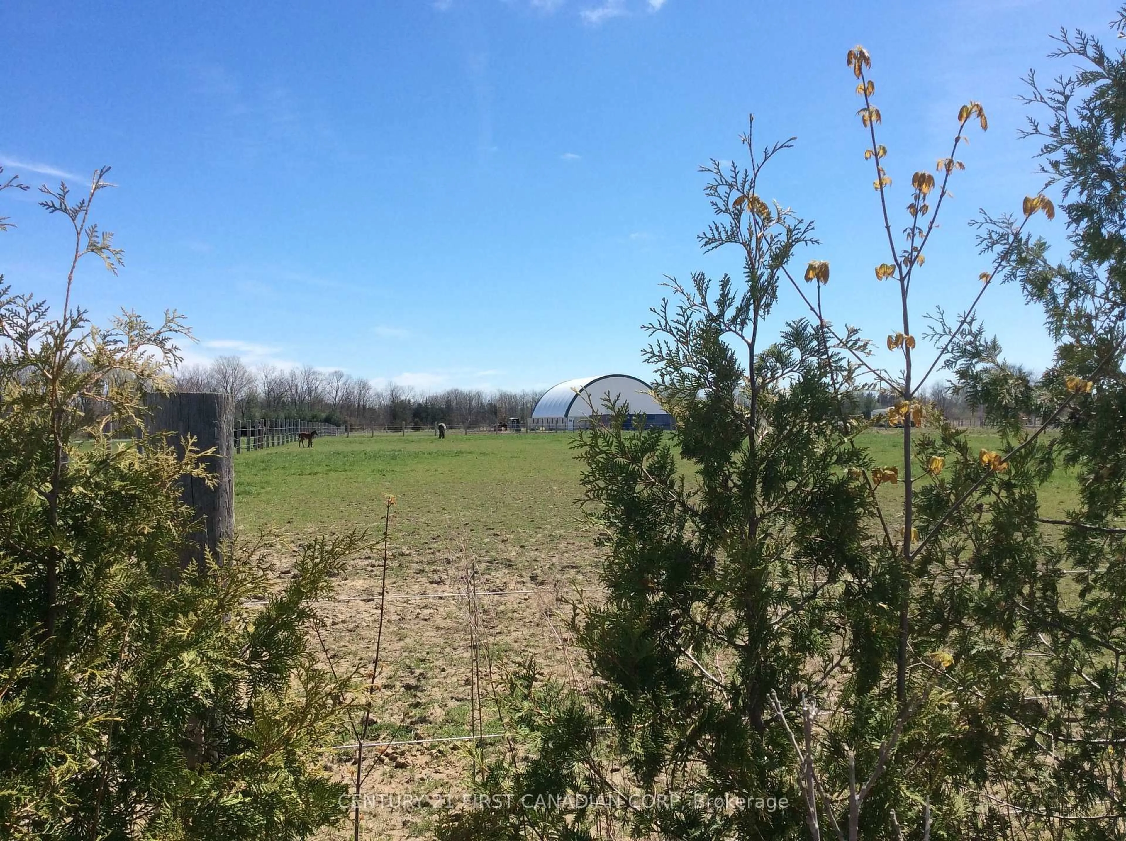 A pic from outside/outdoor area/front of a property/back of a property/a pic from drone, forest/trees view for 184 Elizabeth St, Lambton Shores Ontario N0M 2N0