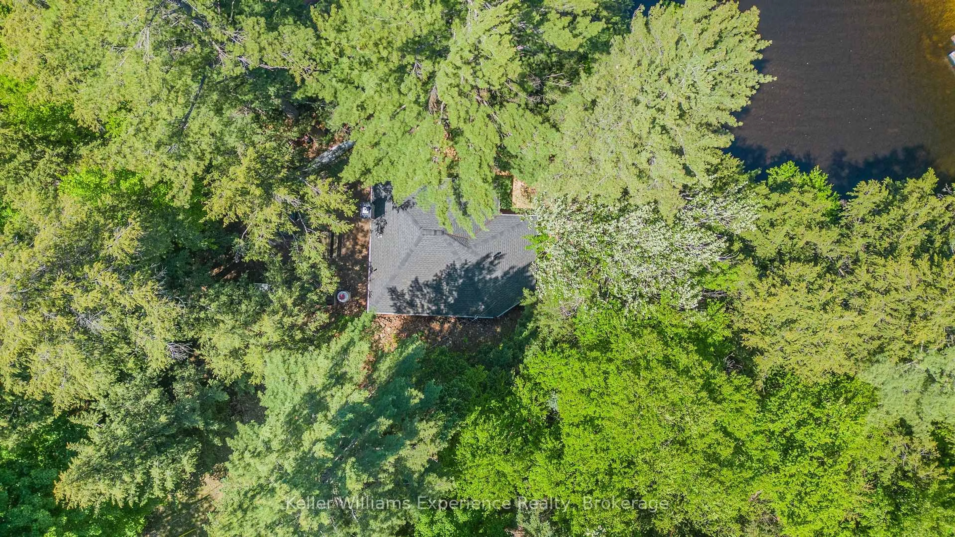 A pic from outside/outdoor area/front of a property/back of a property/a pic from drone, forest/trees view for 185 West Waseosa Lake Rd, Huntsville Ontario P1H 2N5