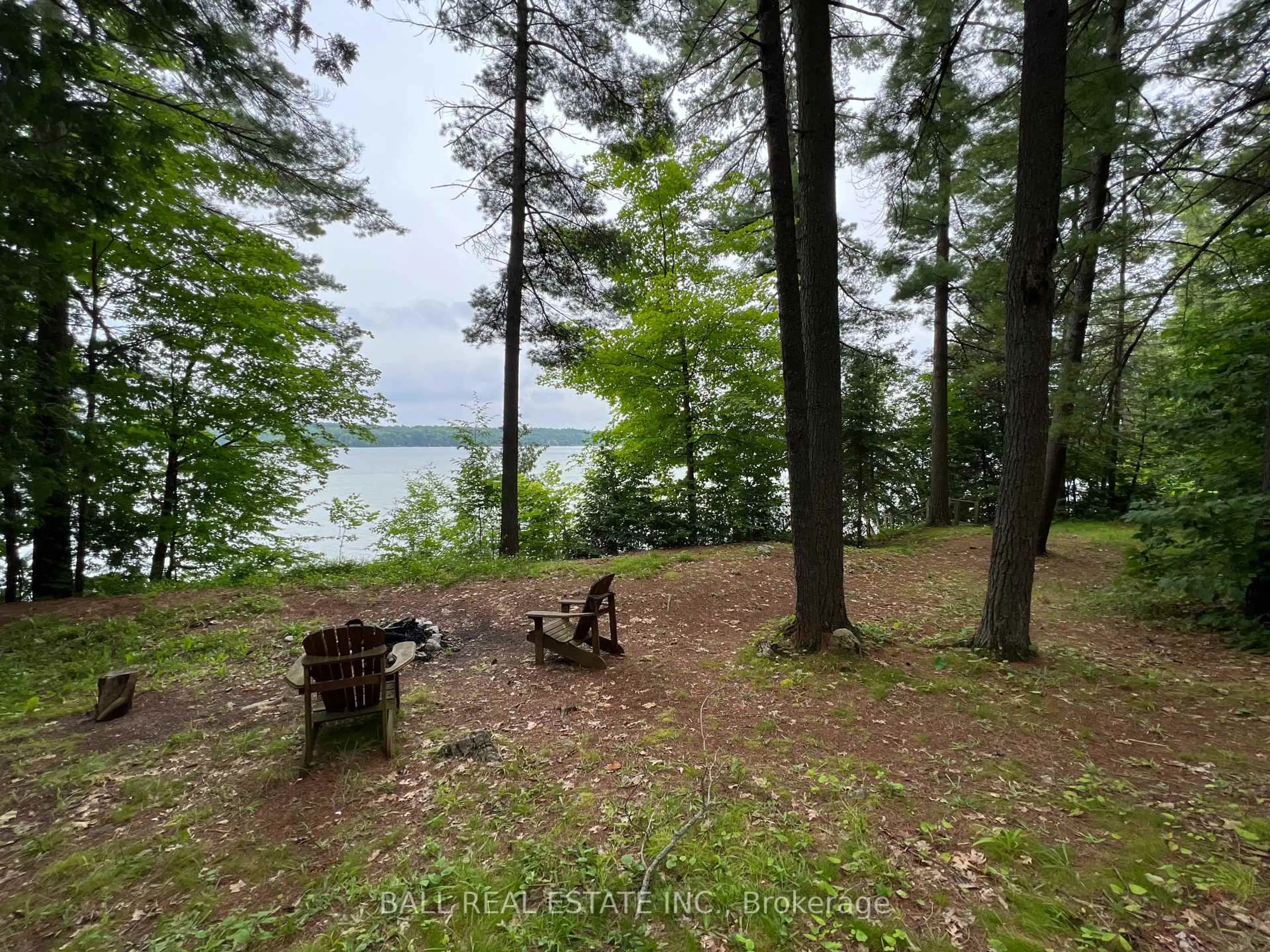 A pic from outside/outdoor area/front of a property/back of a property/a pic from drone, water/lake/river/ocean view for 8 Fire Route 48A N/A, Trent Lakes Ontario K0L 1J0