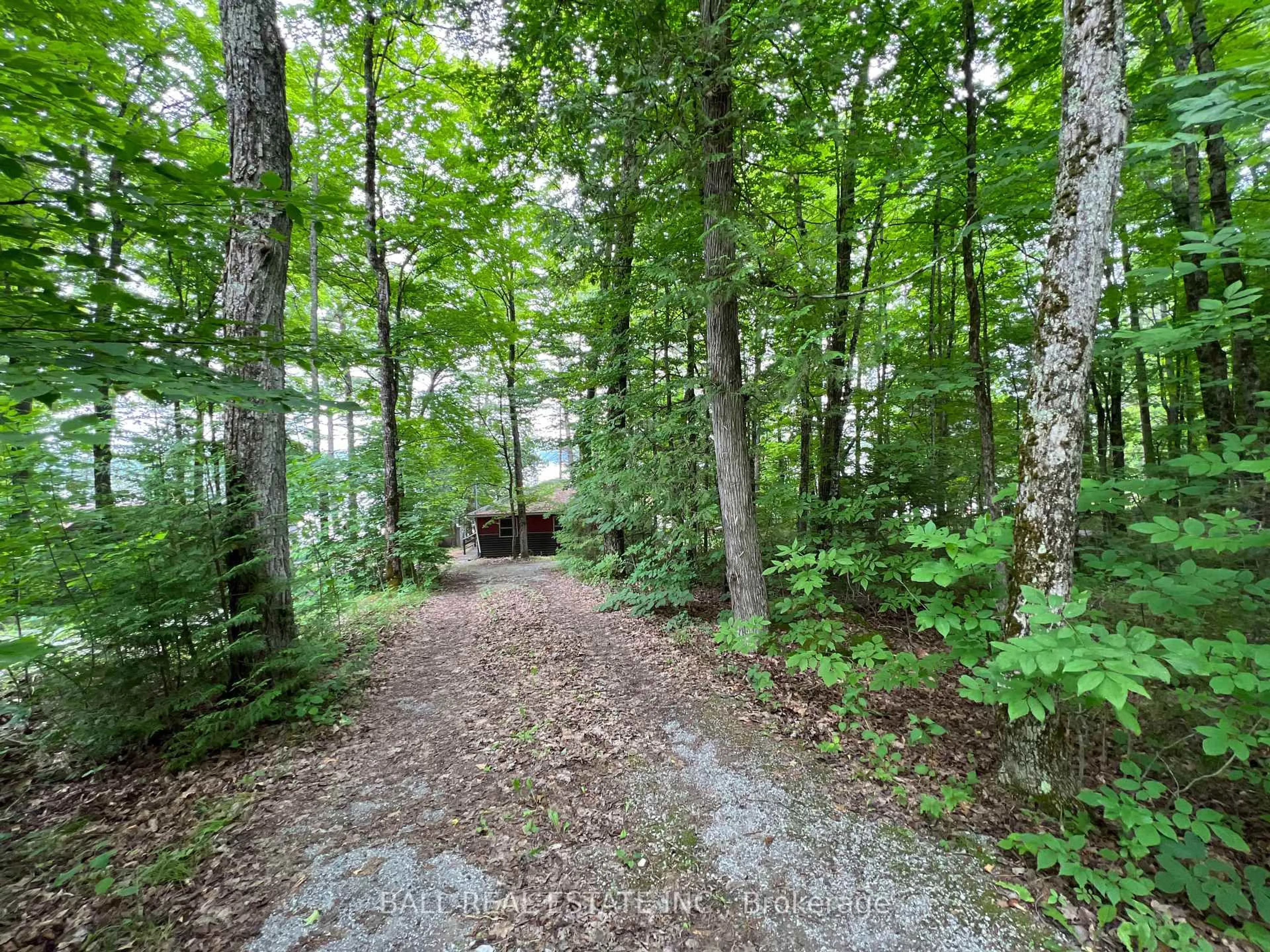 Unknown for 8 Fire Route 48A N/A, Trent Lakes Ontario K0L 1J0