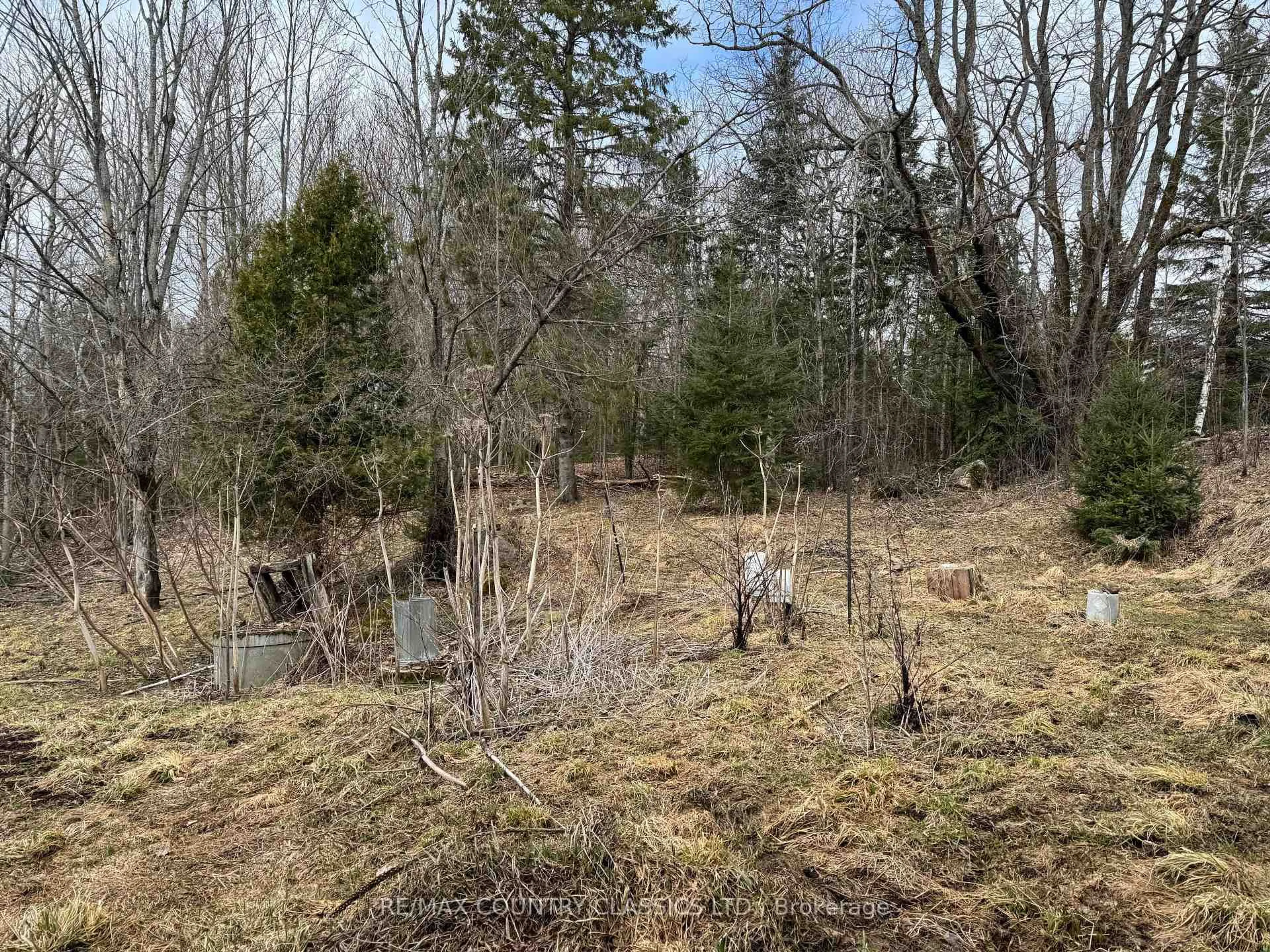 A pic from outside/outdoor area/front of a property/back of a property/a pic from drone, forest/trees view for 790 Mcdonald Mine Rd, Bancroft Ontario K0L 1C0