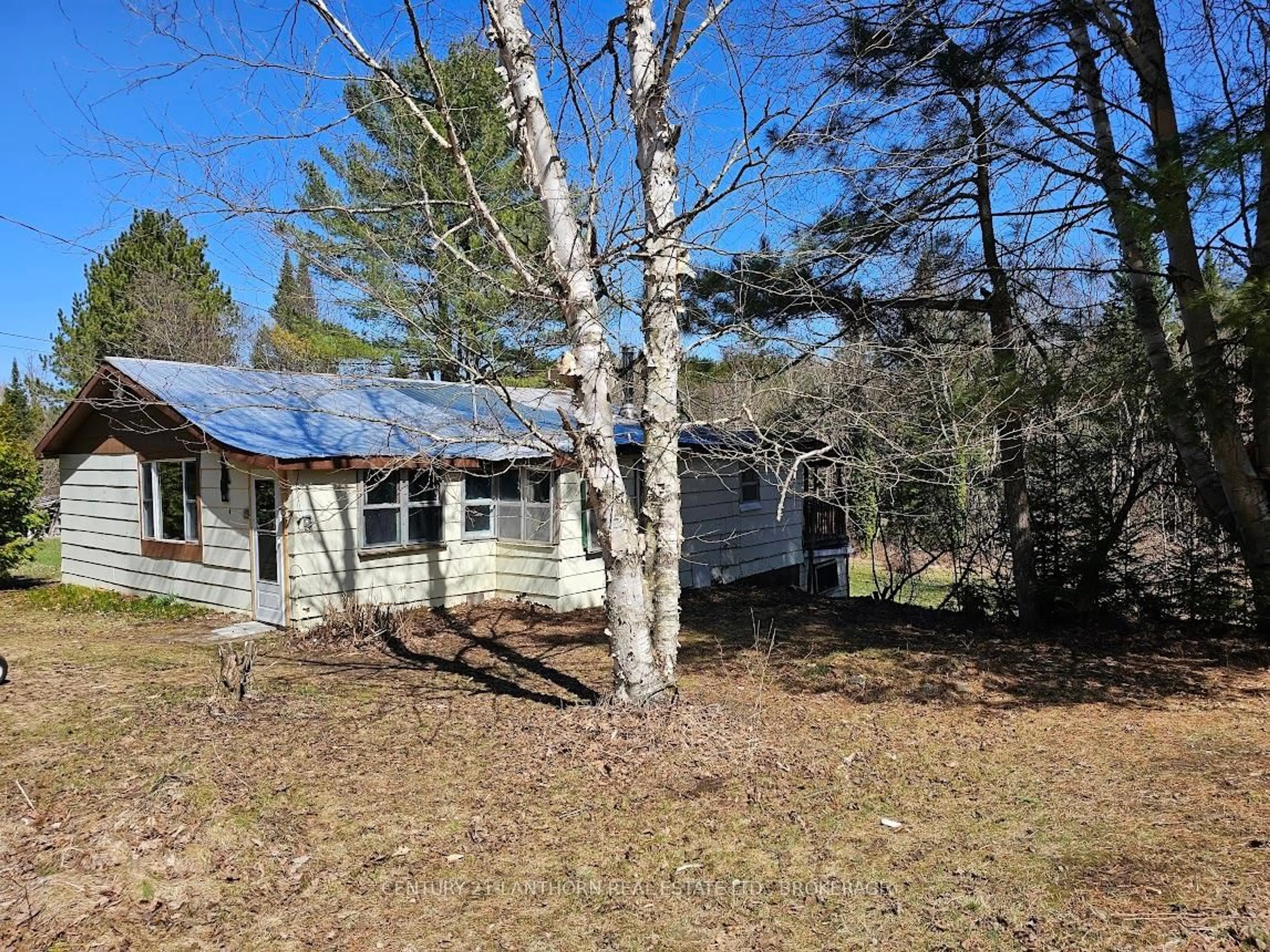 A pic from outside/outdoor area/front of a property/back of a property/a pic from drone, forest/trees view for 119 Addington rd 7 Rd, Denbigh Ontario K0H 1L0