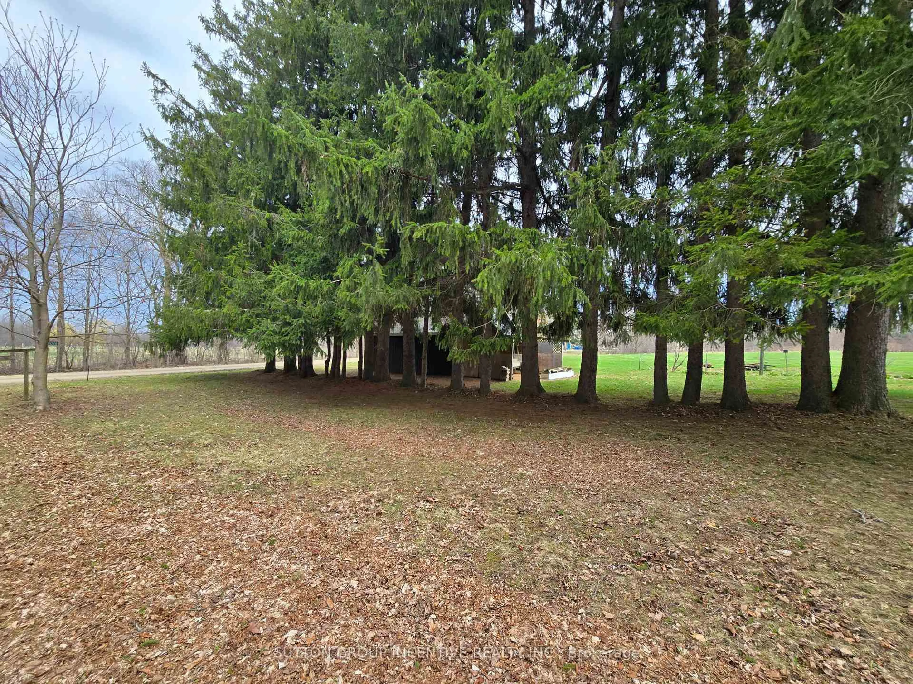 A pic from outside/outdoor area/front of a property/back of a property/a pic from drone, forest/trees view for 106026 Sideroad 10 N/A, Meaford Ontario N4L 1W6