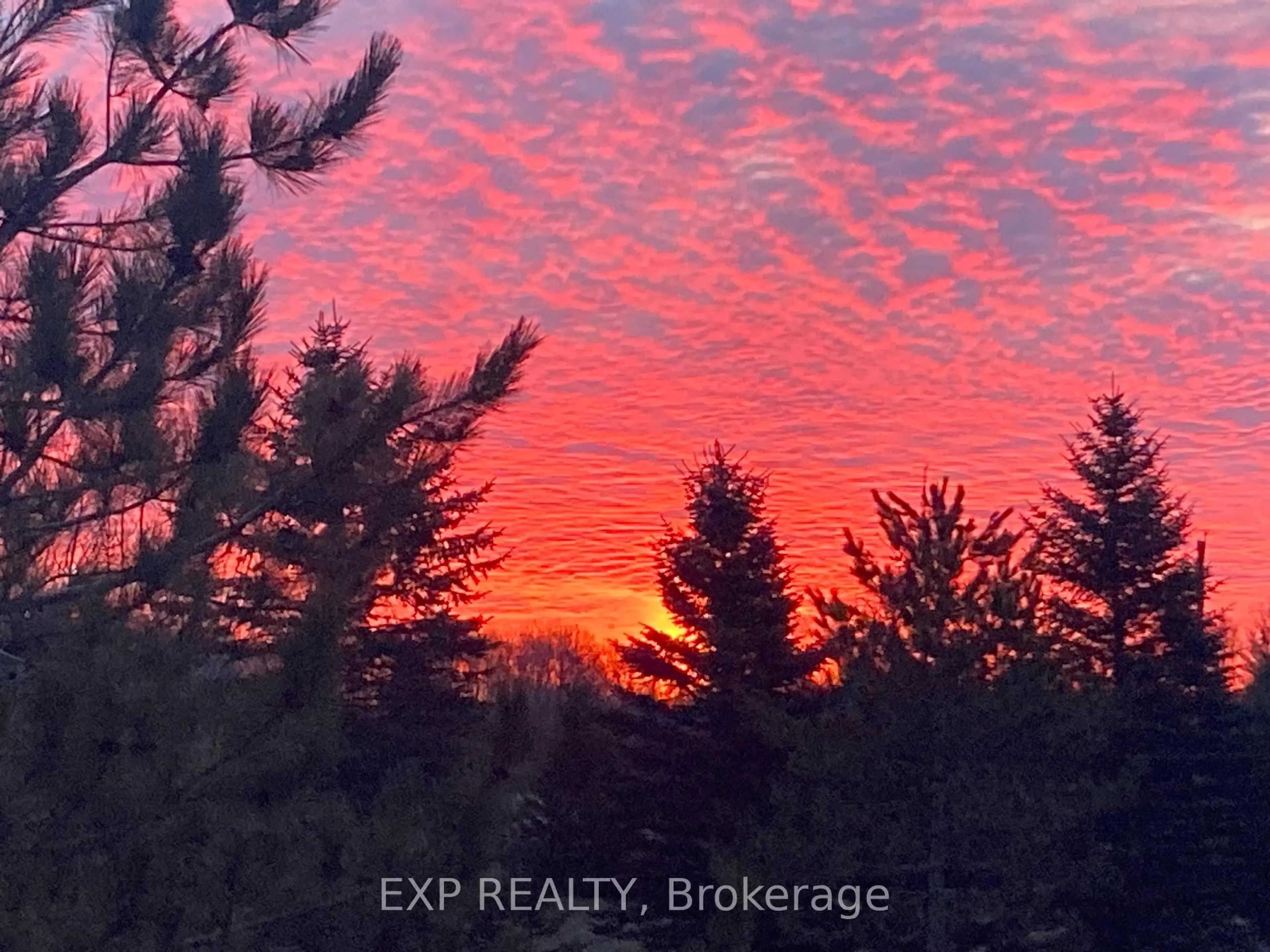 Blurry image for 167 BREWSTER LAKE Rd #Singhampton, Grey Highlands Ontario N0C 1M0