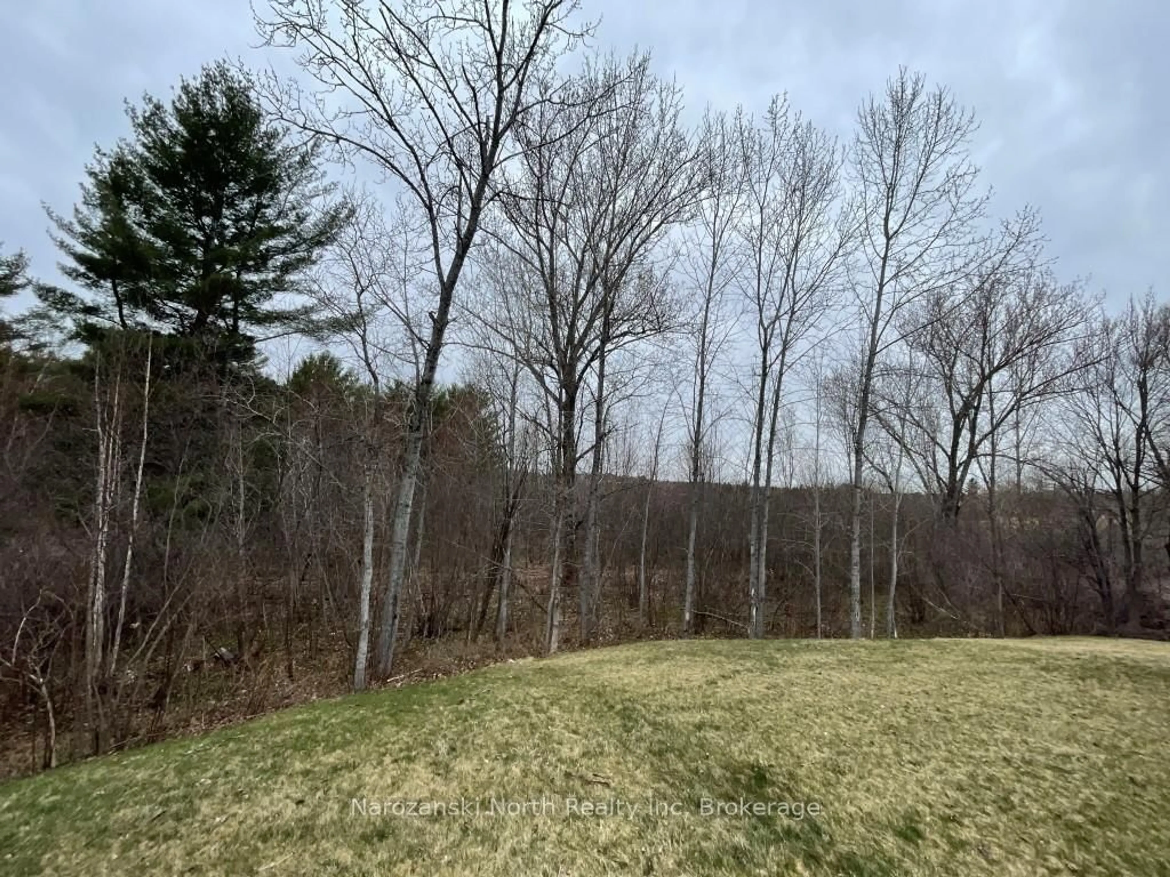 A pic from outside/outdoor area/front of a property/back of a property/a pic from drone, forest/trees view for 9 Chevrefils Lane, St. Charles Ontario P0M 2W0
