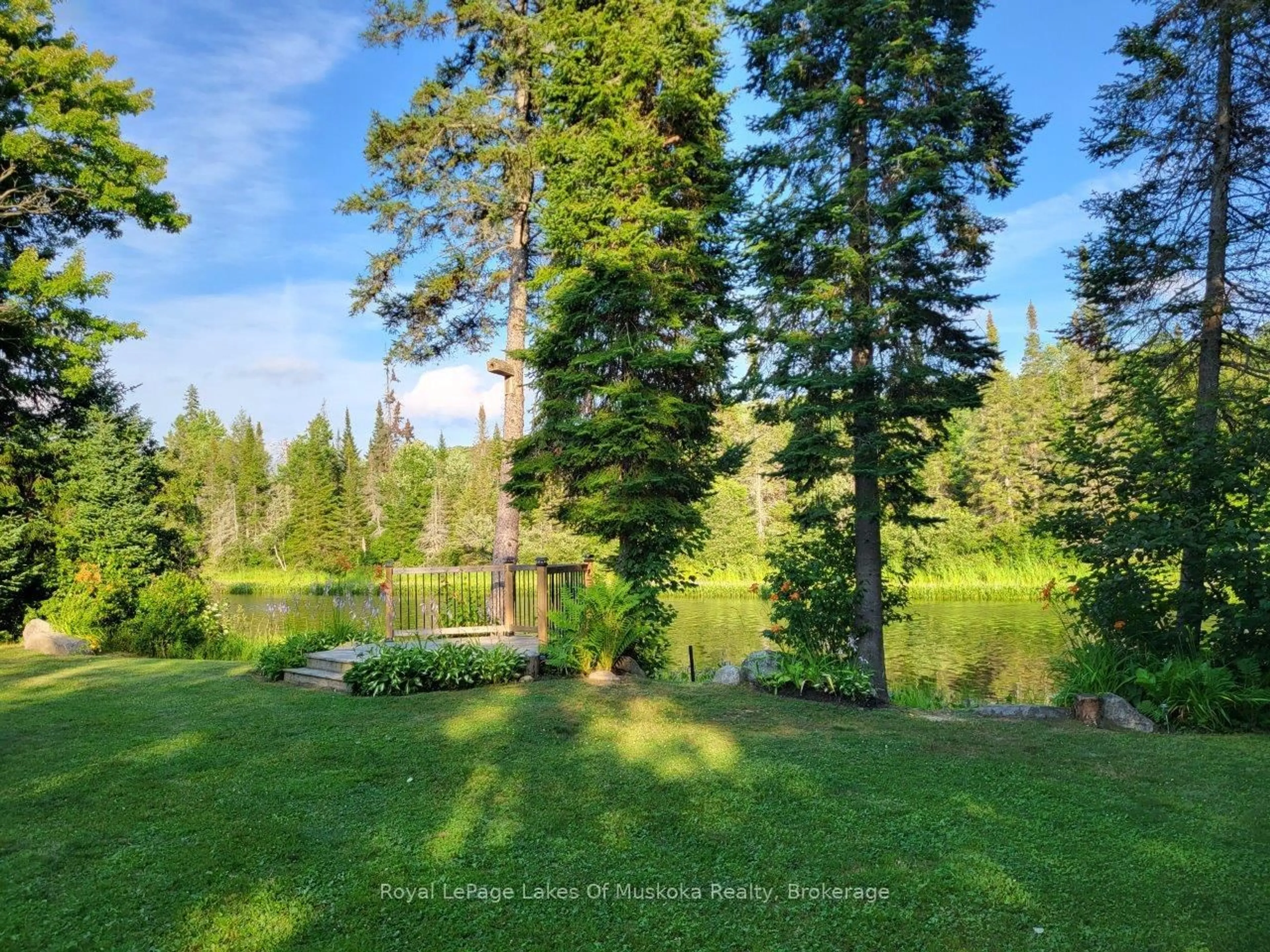 A pic from outside/outdoor area/front of a property/back of a property/a pic from drone, forest/trees view for 537 SPRING HILL Rd, Ryerson Ontario P0A 1C0