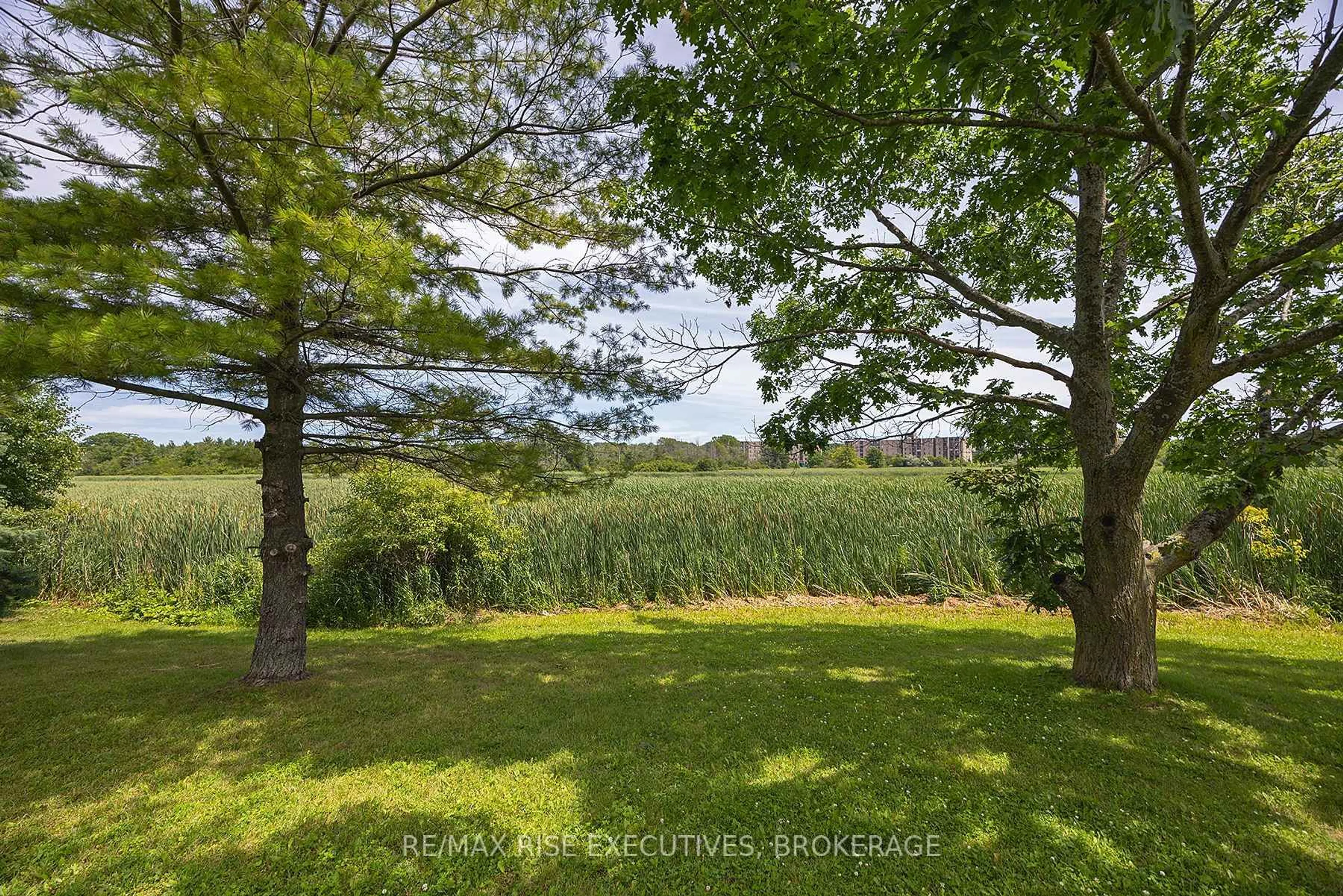 A pic from outside/outdoor area/front of a property/back of a property/a pic from drone, forest/trees view for 580 ARMSTRONG Rd #118, Kingston Ontario K7M 8M3