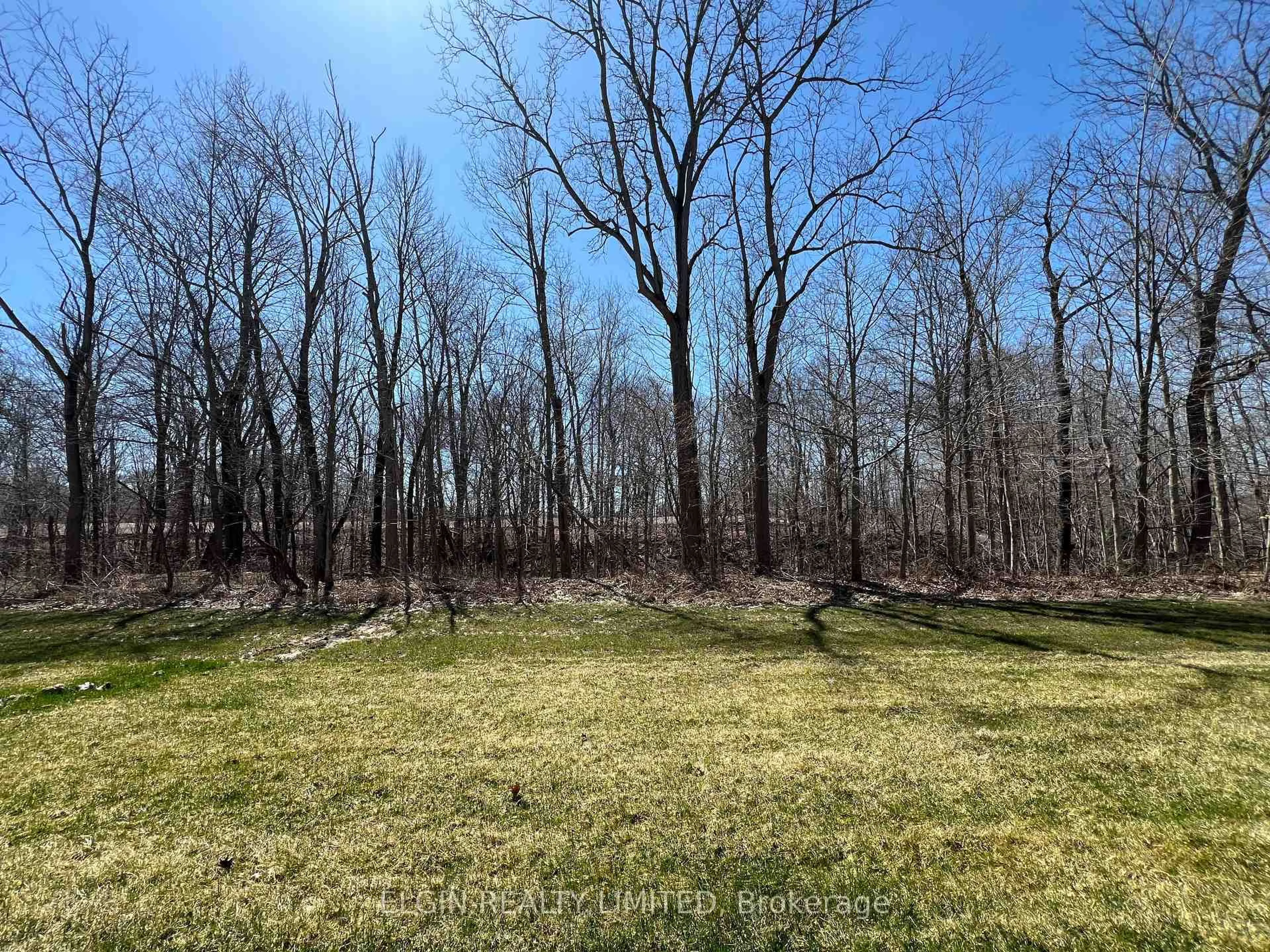 A pic from outside/outdoor area/front of a property/back of a property/a pic from drone, forest/trees view for 27-49 Royal Dornoch Dr, St. Thomas Ontario N5R 0P4