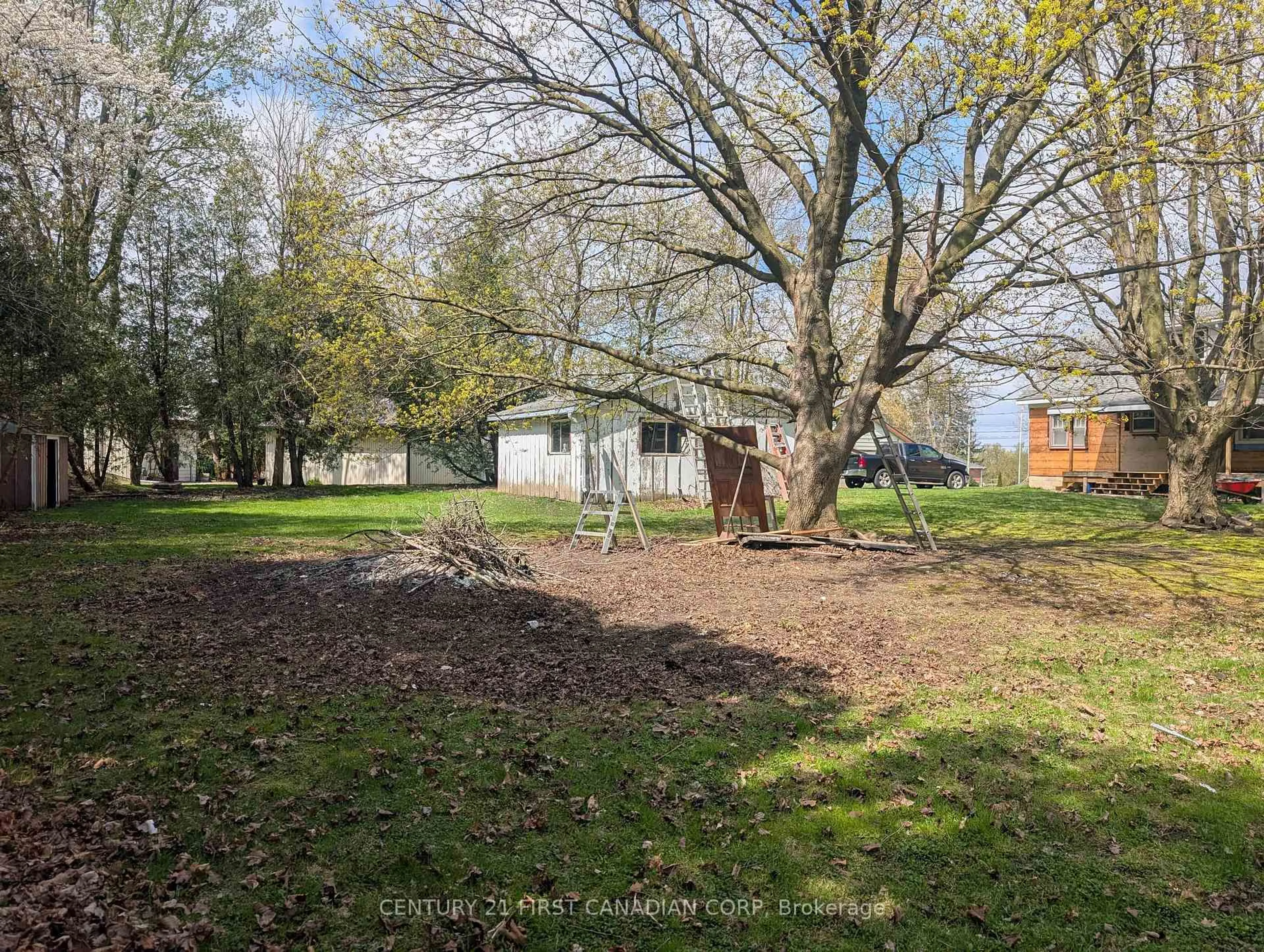 A pic from outside/outdoor area/front of a property/back of a property/a pic from drone, forest/trees view for 211 King Edward St, Brant Ontario N3L 3E3