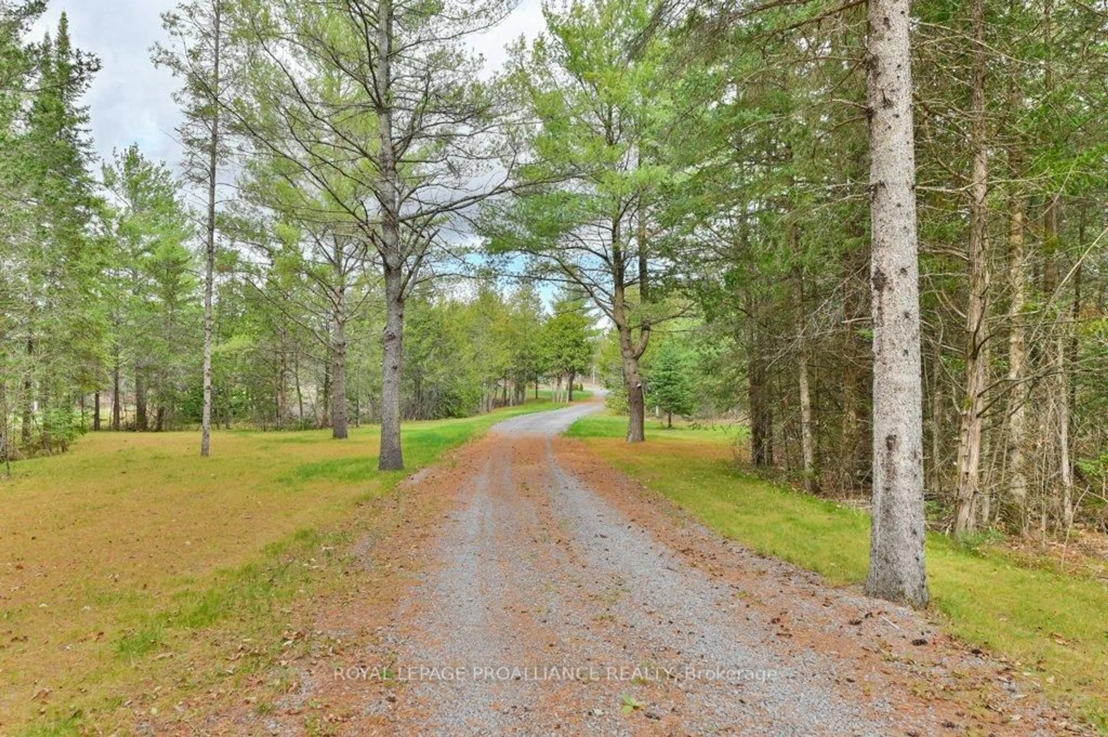 A pic from outside/outdoor area/front of a property/back of a property/a pic from drone, forest/trees view for 1889 MELROSE Rd, Shannonville Ontario K0K 2N0