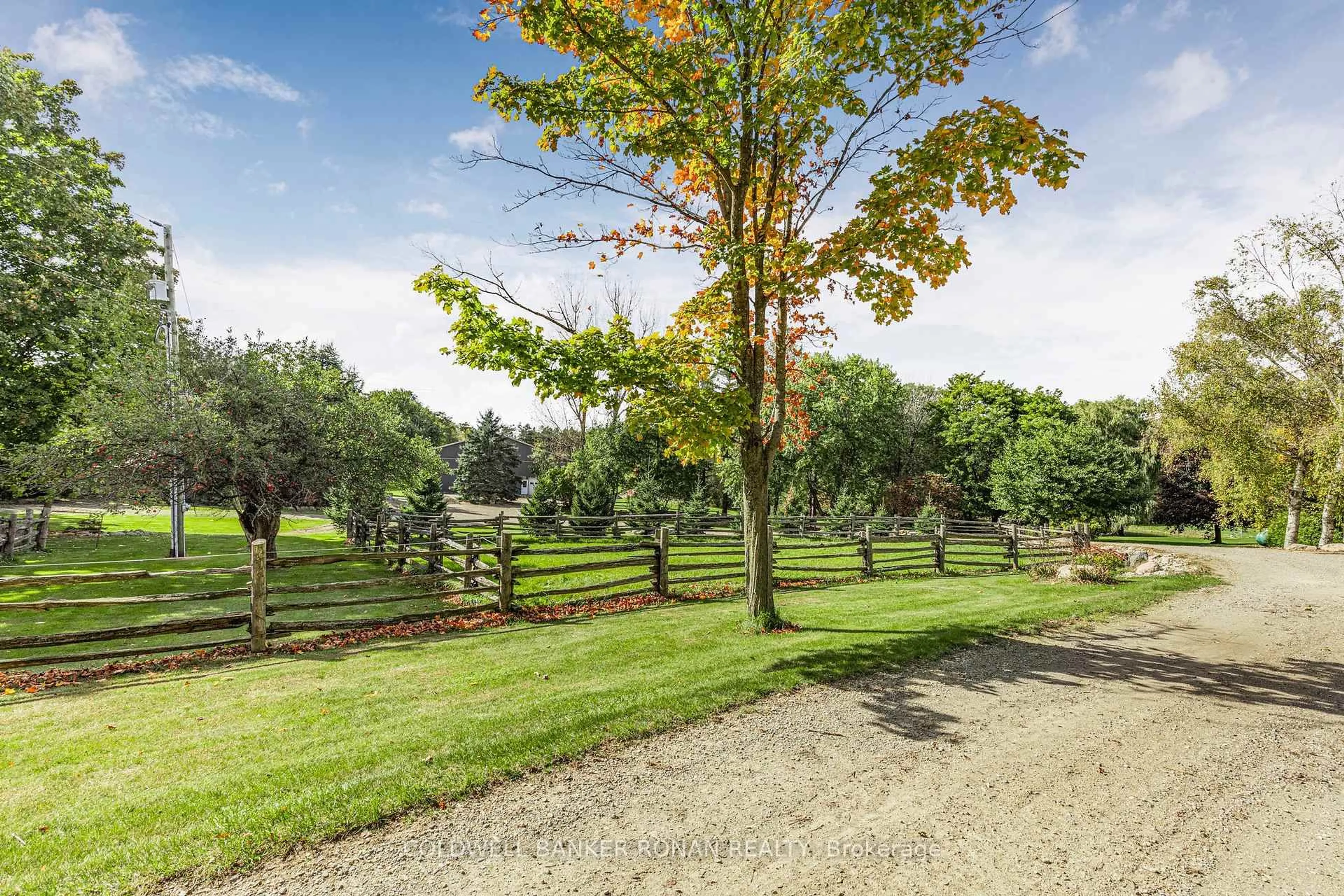 A pic from outside/outdoor area/front of a property/back of a property/a pic from drone, forest/trees view for 836138 4th Line, Mulmur Ontario L9V 0J1