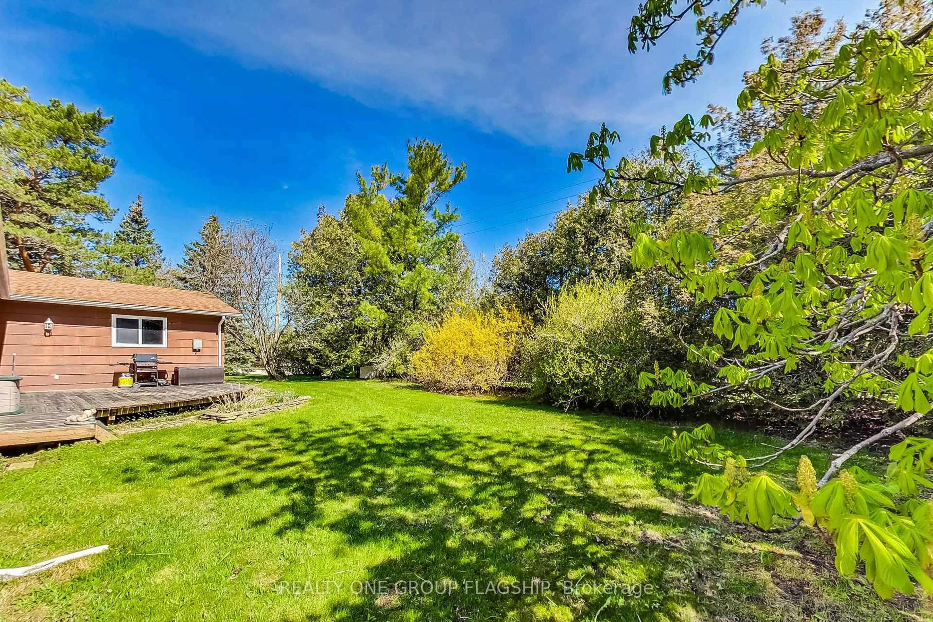 A pic from outside/outdoor area/front of a property/back of a property/a pic from drone, forest/trees view for 113 Bay St, Blue Mountains Ontario N0H 2P0
