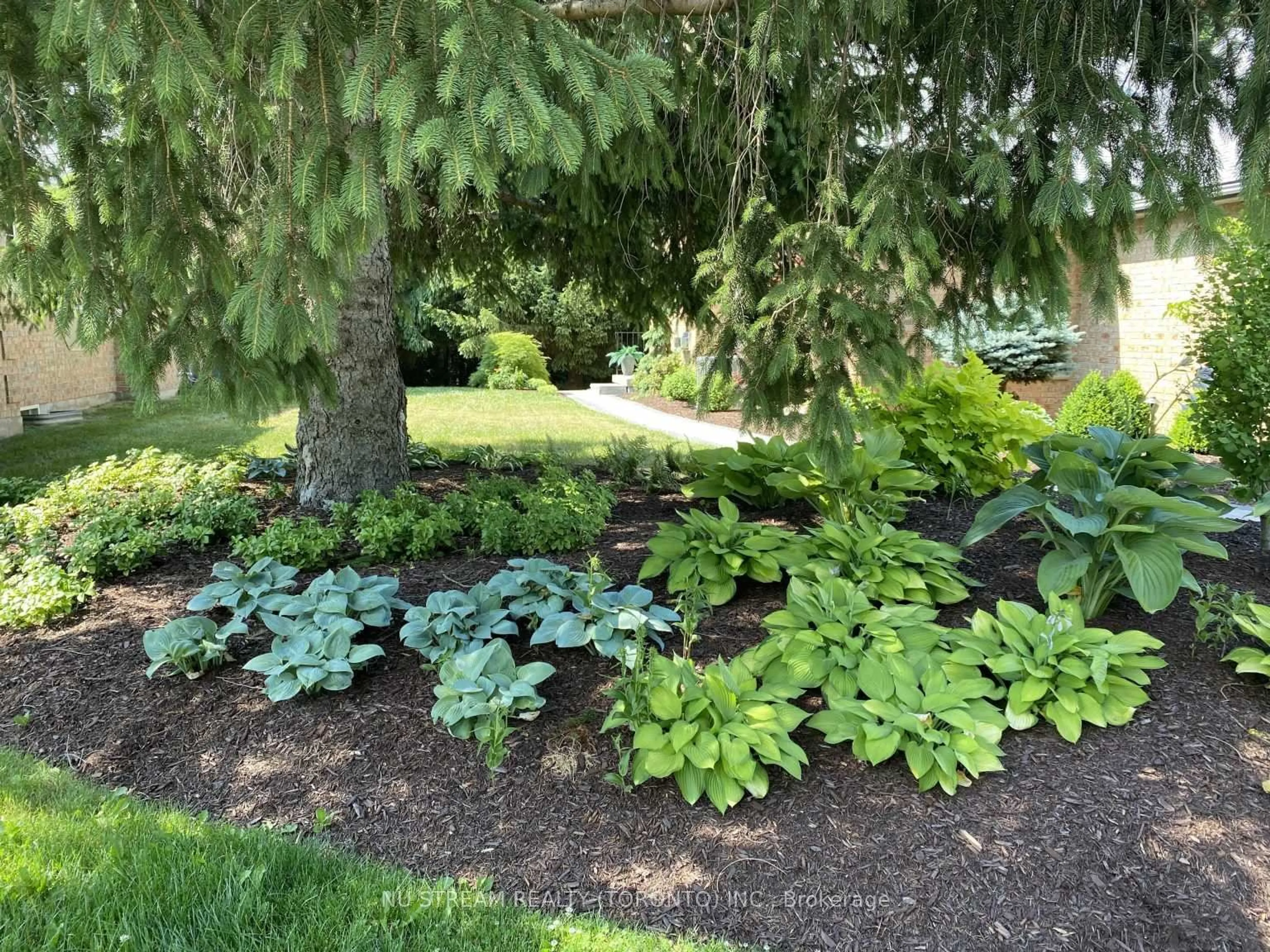 Patio, forest/trees view for 691 Lansdowne Ave, Woodstock Ontario N4T 1K1