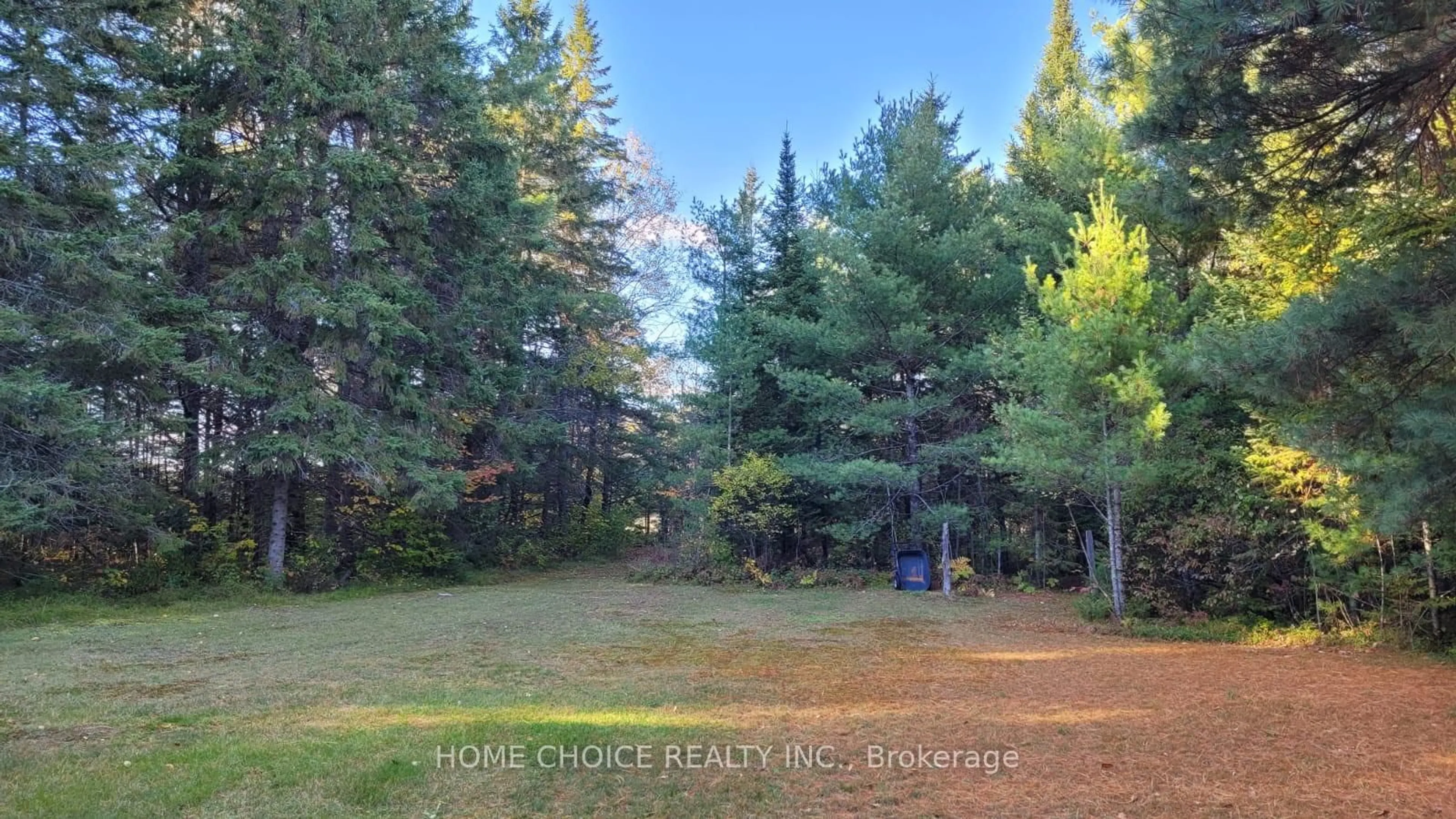 A pic from outside/outdoor area/front of a property/back of a property/a pic from drone, forest/trees view for 1190 North Baptiste Lake Rd, Maynooth Ontario K0L 2S0