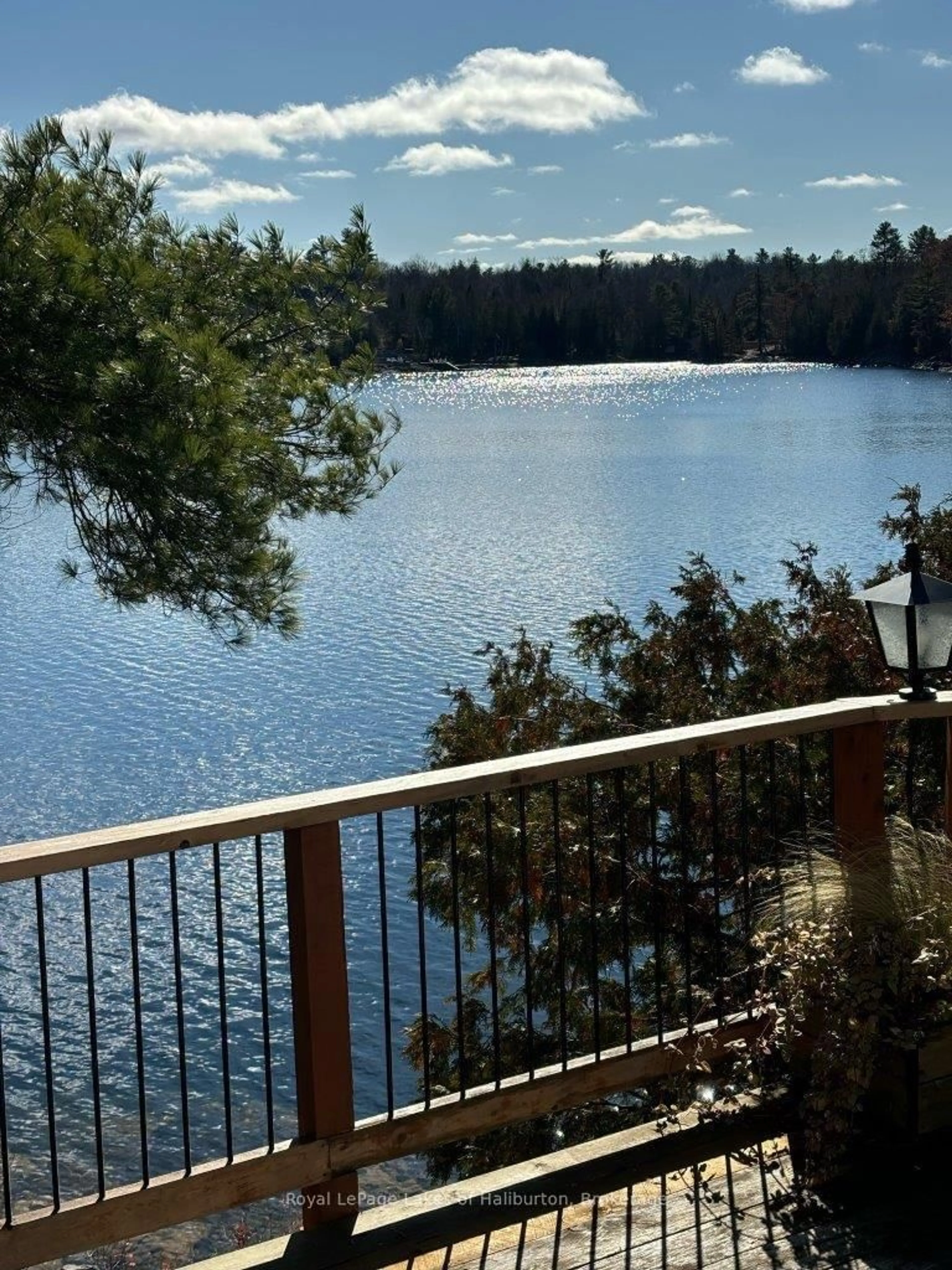 Unknown for 96 Pine Point Tr, Trent Lakes Ontario K0M 2A0