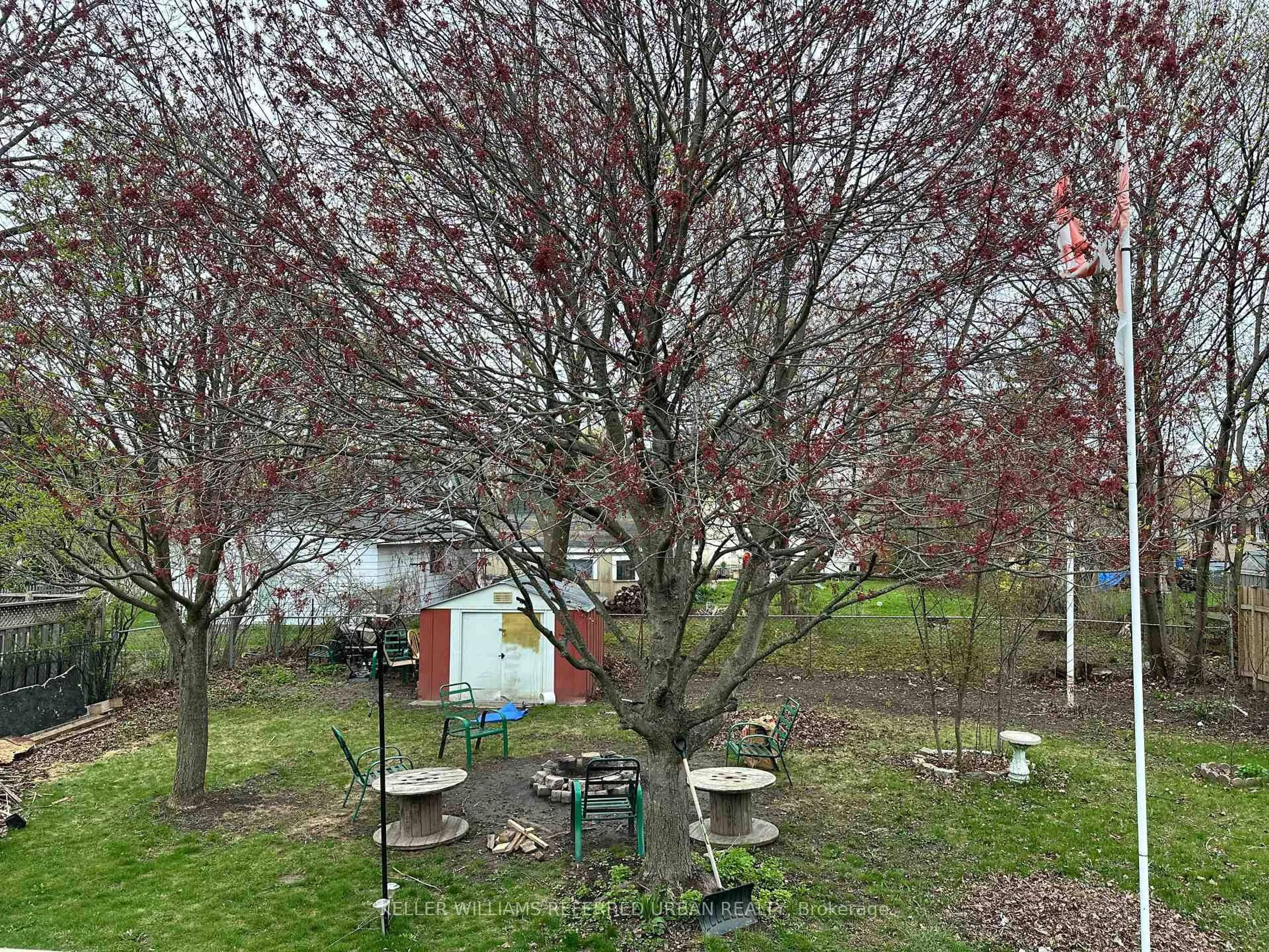 A pic from outside/outdoor area/front of a property/back of a property/a pic from drone, forest/trees view for 372 Major St, Cobourg Ontario K9A 4C7