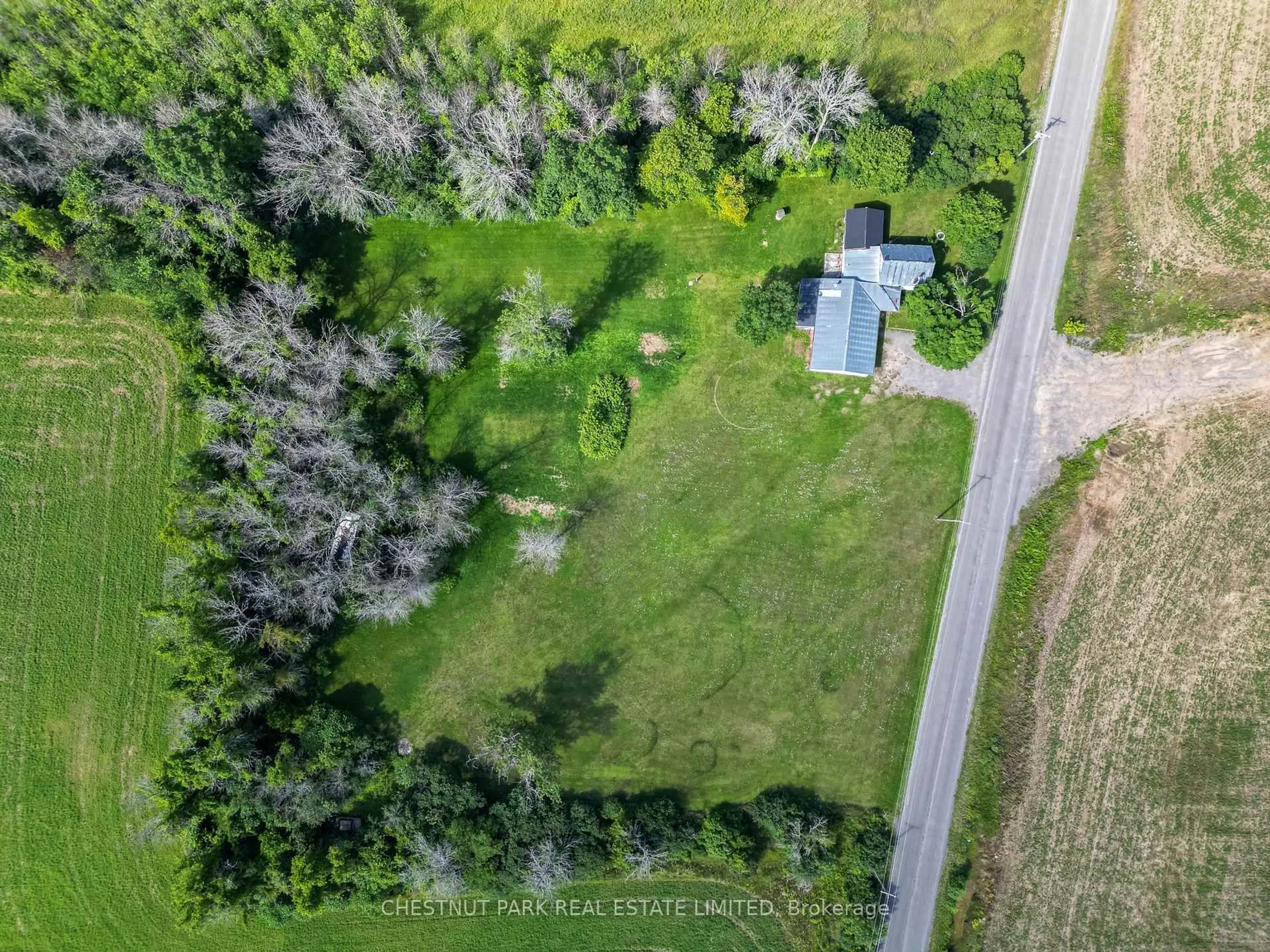 A pic from outside/outdoor area/front of a property/back of a property/a pic from drone, forest/trees view for 126 Murphy Rd, Prince Edward County Ontario K0K 2P0