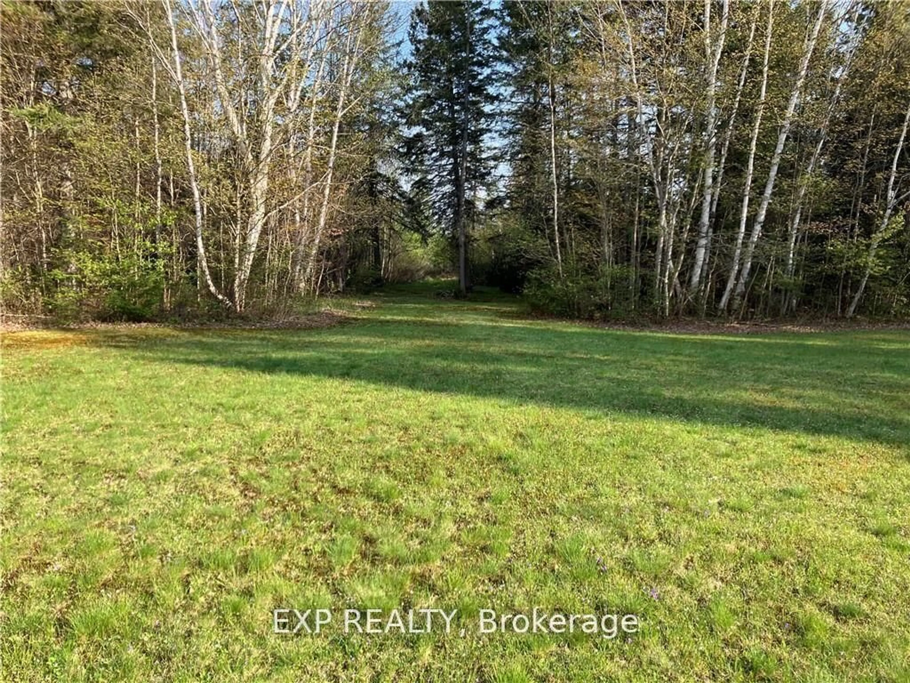 A pic from outside/outdoor area/front of a property/back of a property/a pic from drone, forest/trees view for PT Lt 3 Cedar Grove Rd, Palmer Rapids Ontario K0J 2E0