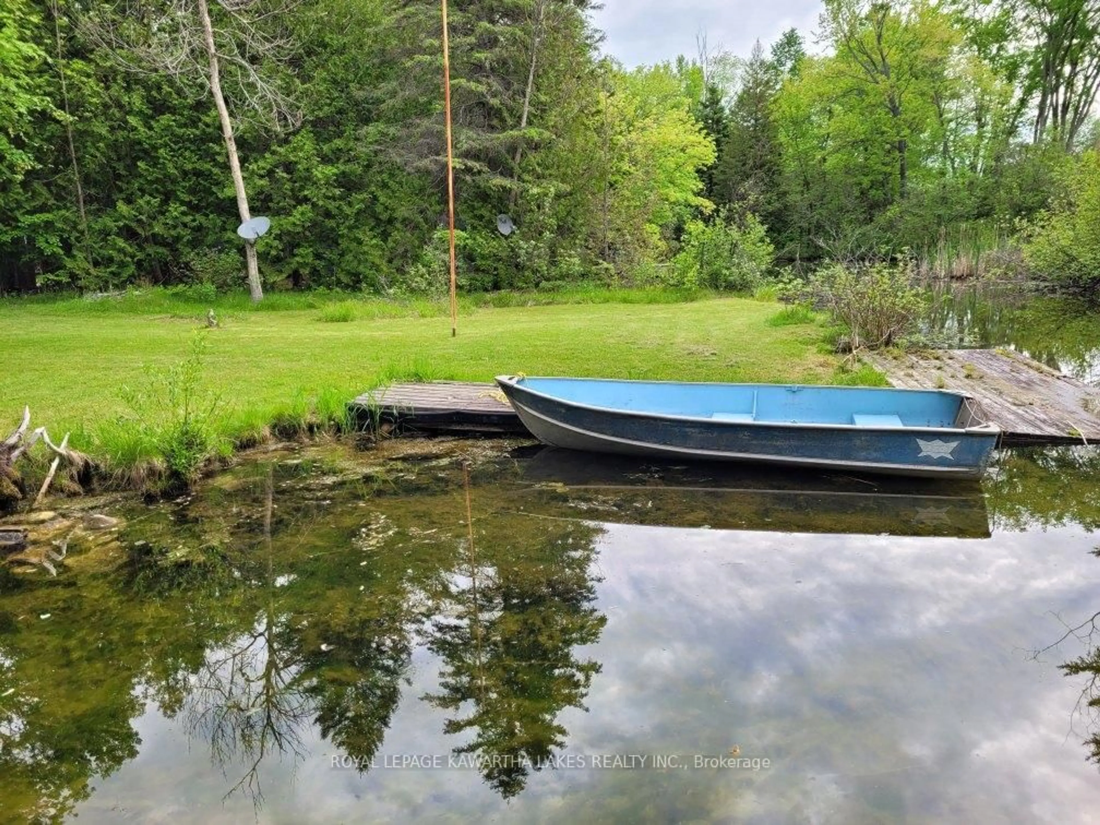 Blurry image for 81 McGuire Beach Rd, Kawartha Lakes Ontario K0M 2B0