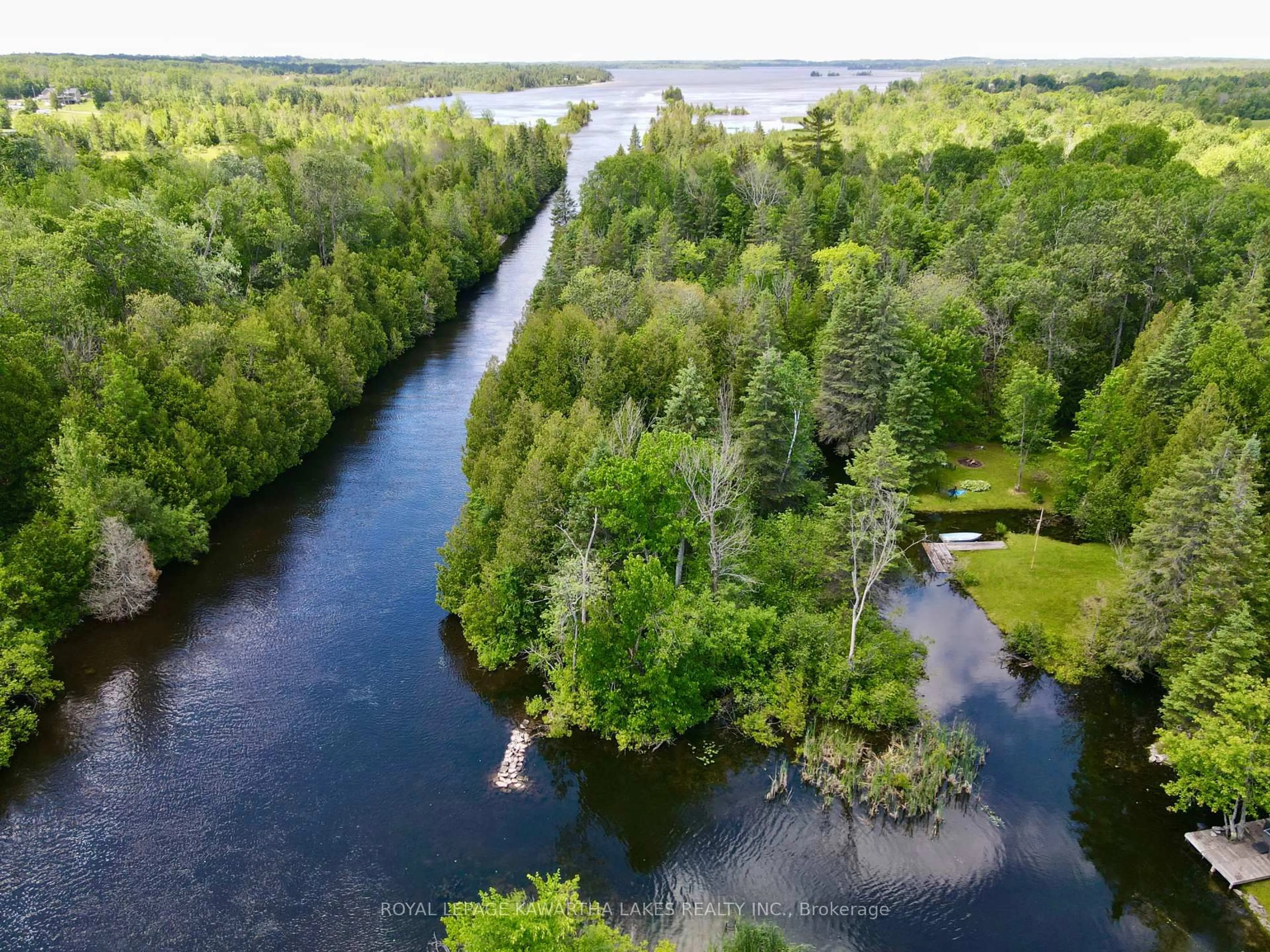A pic from outside/outdoor area/front of a property/back of a property/a pic from drone, water/lake/river/ocean view for 81 McGuire Beach Rd, Kawartha Lakes Ontario K0M 2B0
