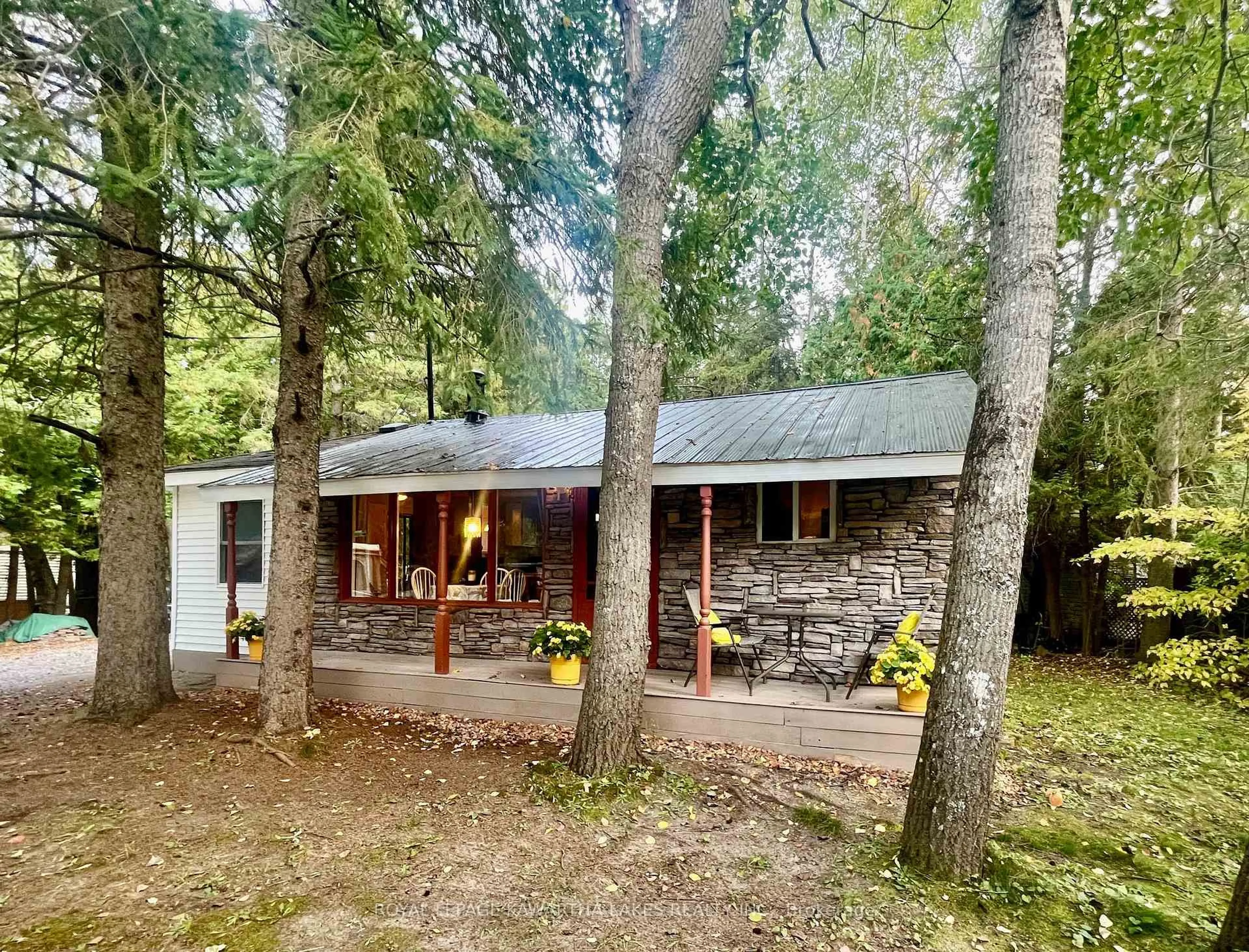 A pic from outside/outdoor area/front of a property/back of a property/a pic from drone, forest/trees view for 81 McGuire Beach Rd, Kawartha Lakes Ontario K0M 2B0