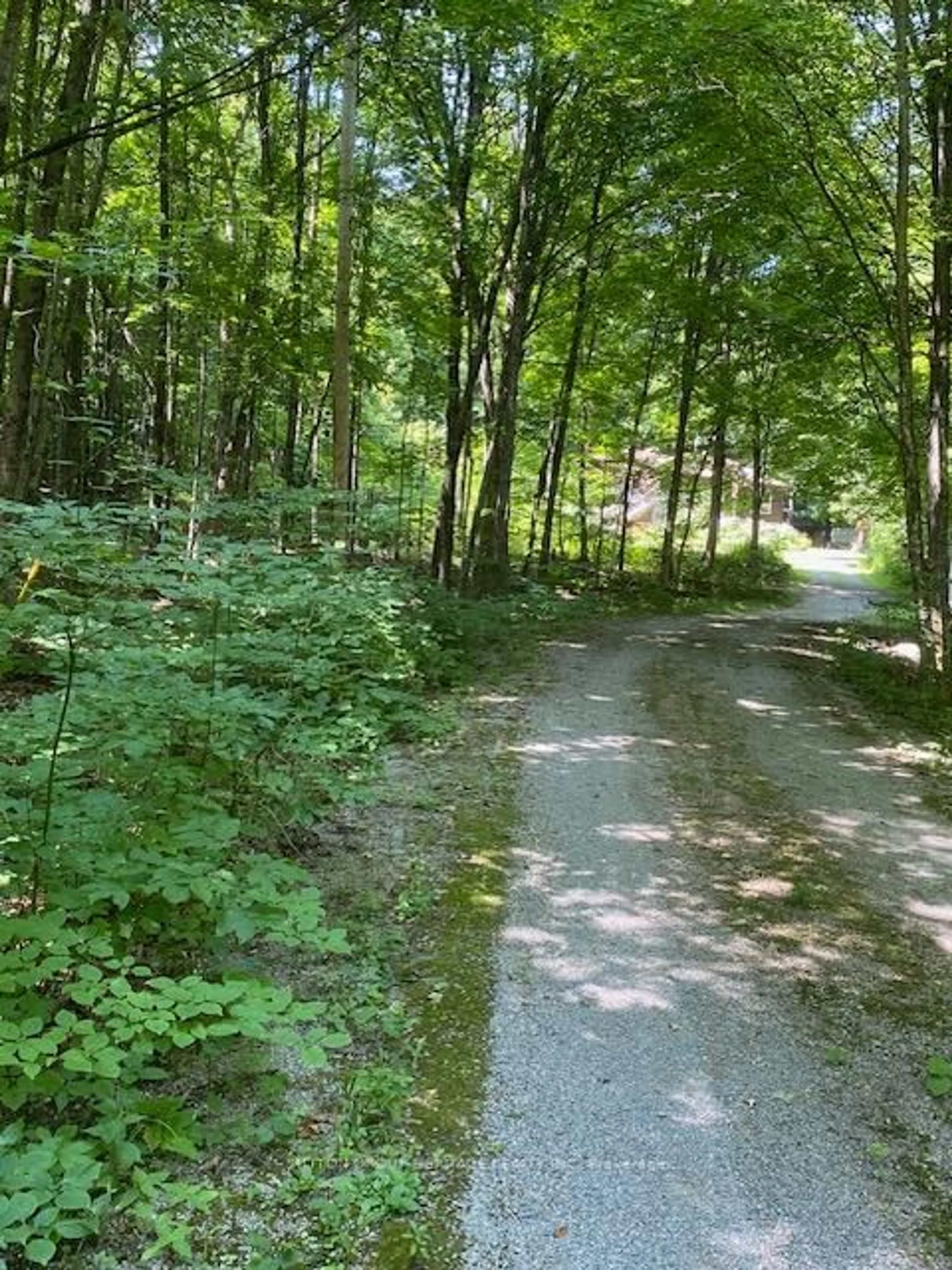 Blurry image for 119 Acorn Rd, Kawartha Lakes Ontario K0M 3L0