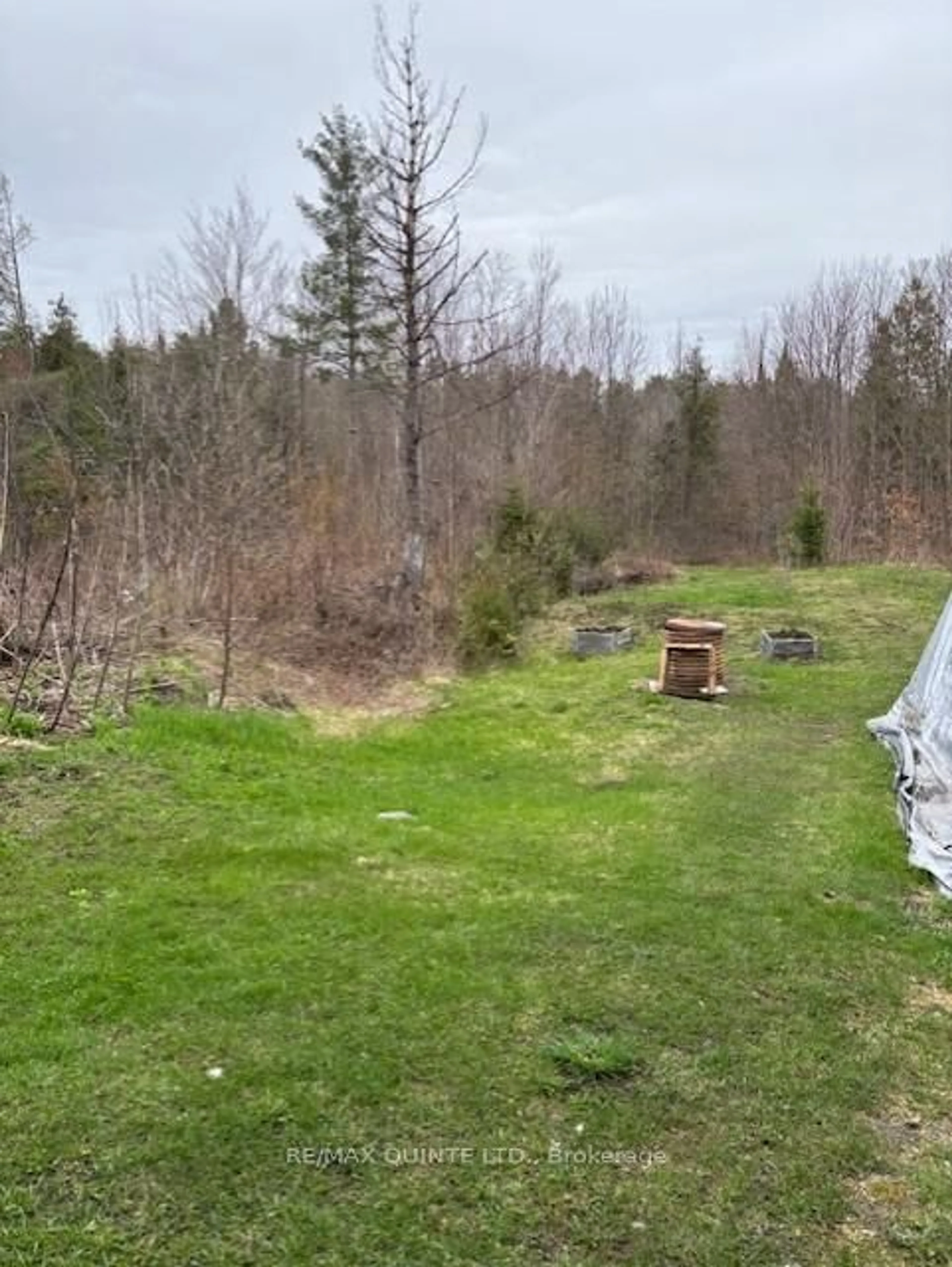 A pic from outside/outdoor area/front of a property/back of a property/a pic from drone, forest/trees view for 18610 Hwy 62 Highway, Madoc Ontario K0K 2K0