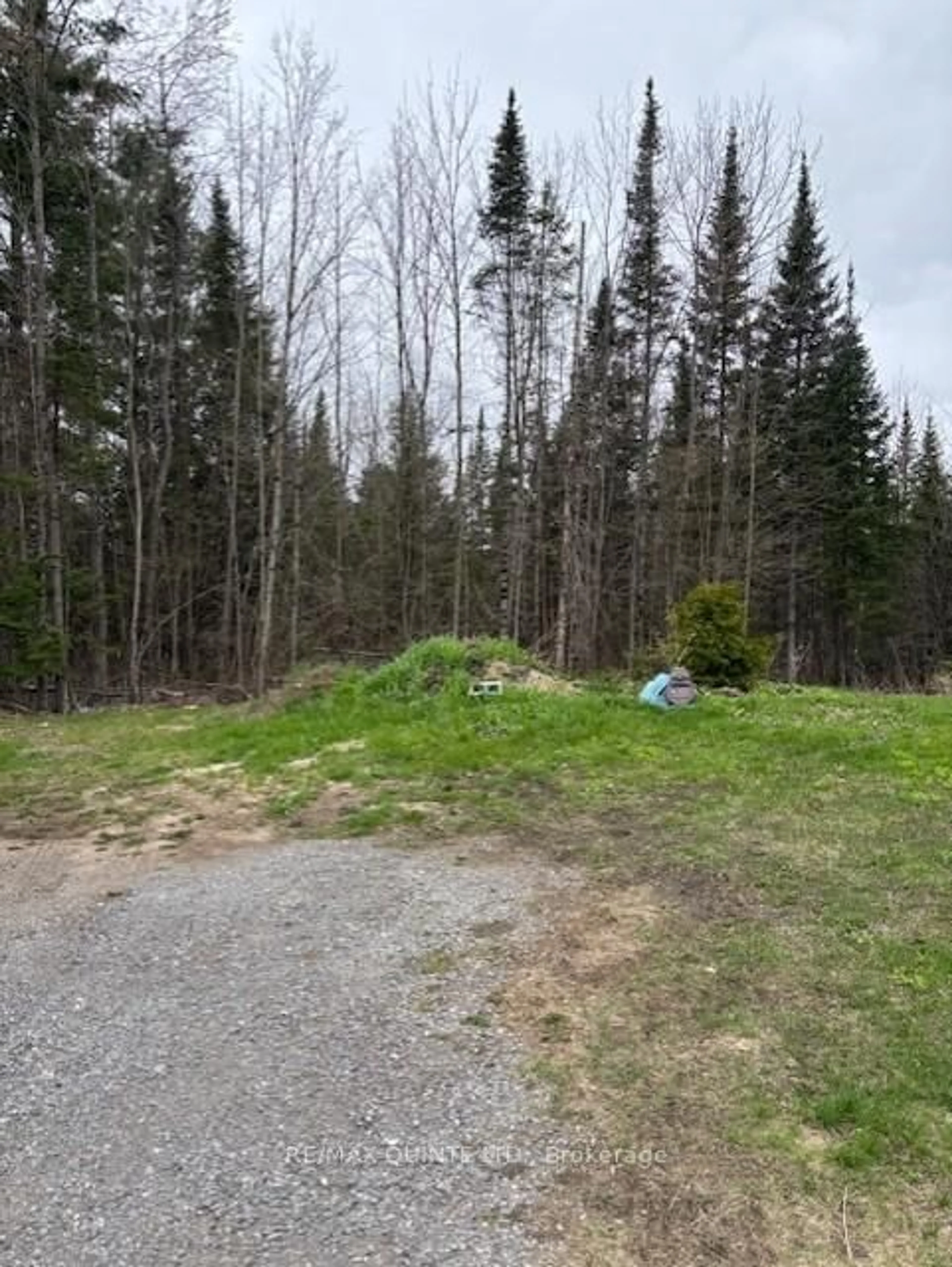 A pic from outside/outdoor area/front of a property/back of a property/a pic from drone, forest/trees view for 18610 Hwy 62 Highway, Madoc Ontario K0K 2K0