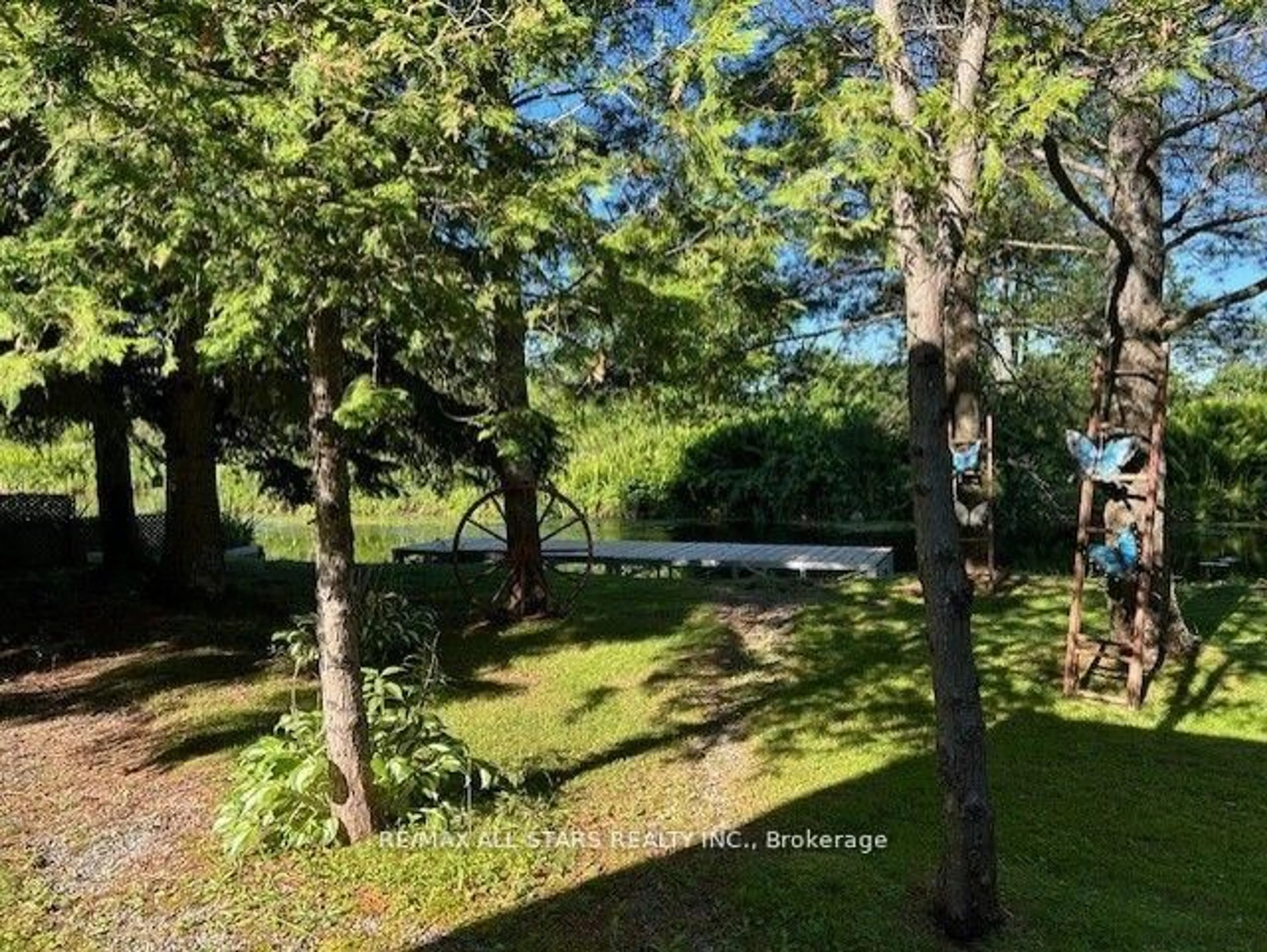 A pic from outside/outdoor area/front of a property/back of a property/a pic from drone, forest/trees view for 2152 COUNTY Rd 36 Rd #220, Kawartha Lakes Ontario K0M 1L0