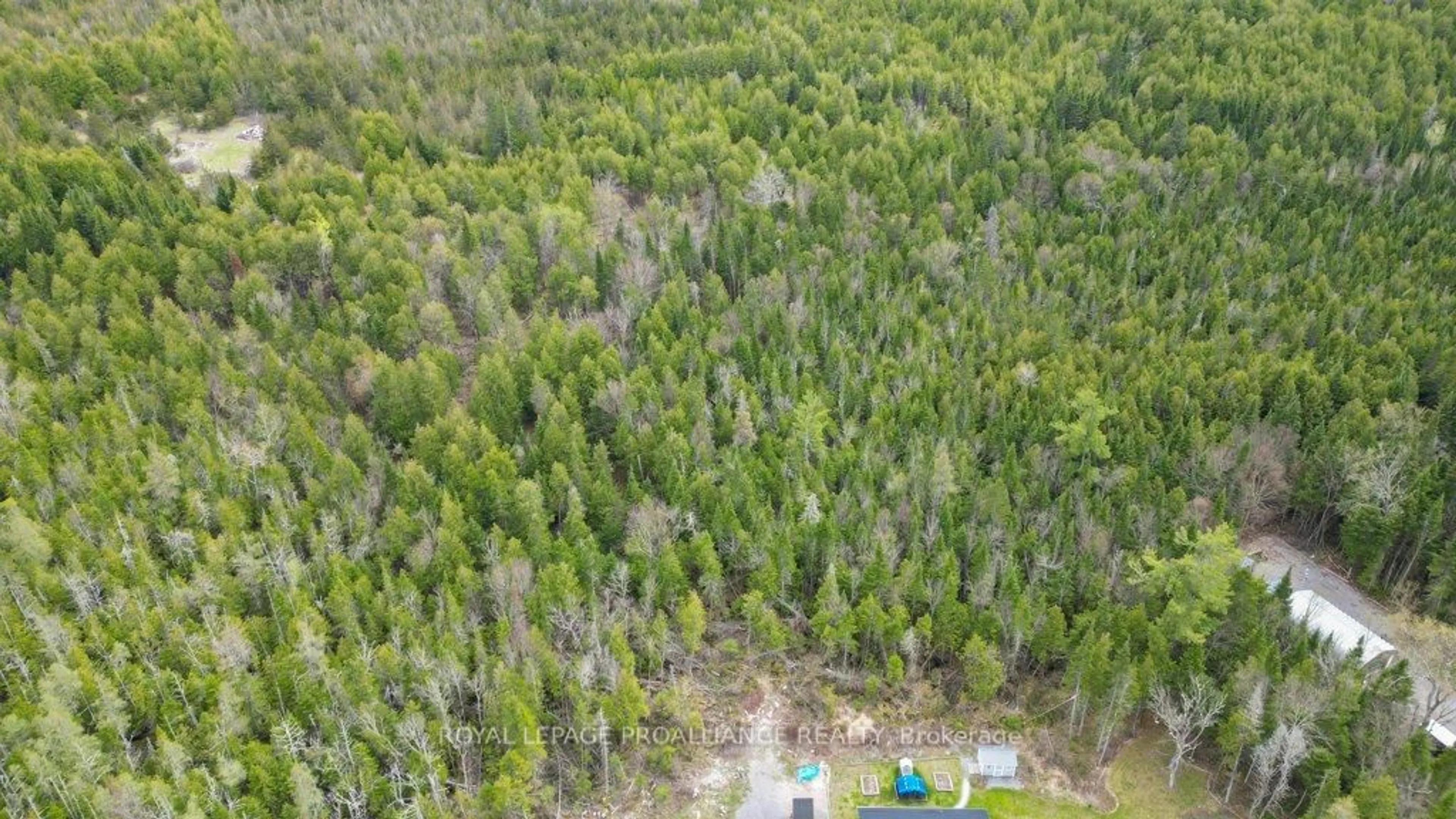 A pic from outside/outdoor area/front of a property/back of a property/a pic from drone, forest/trees view for 1554 SHANNON Rd, Tyendinaga Ontario K0K 2V0