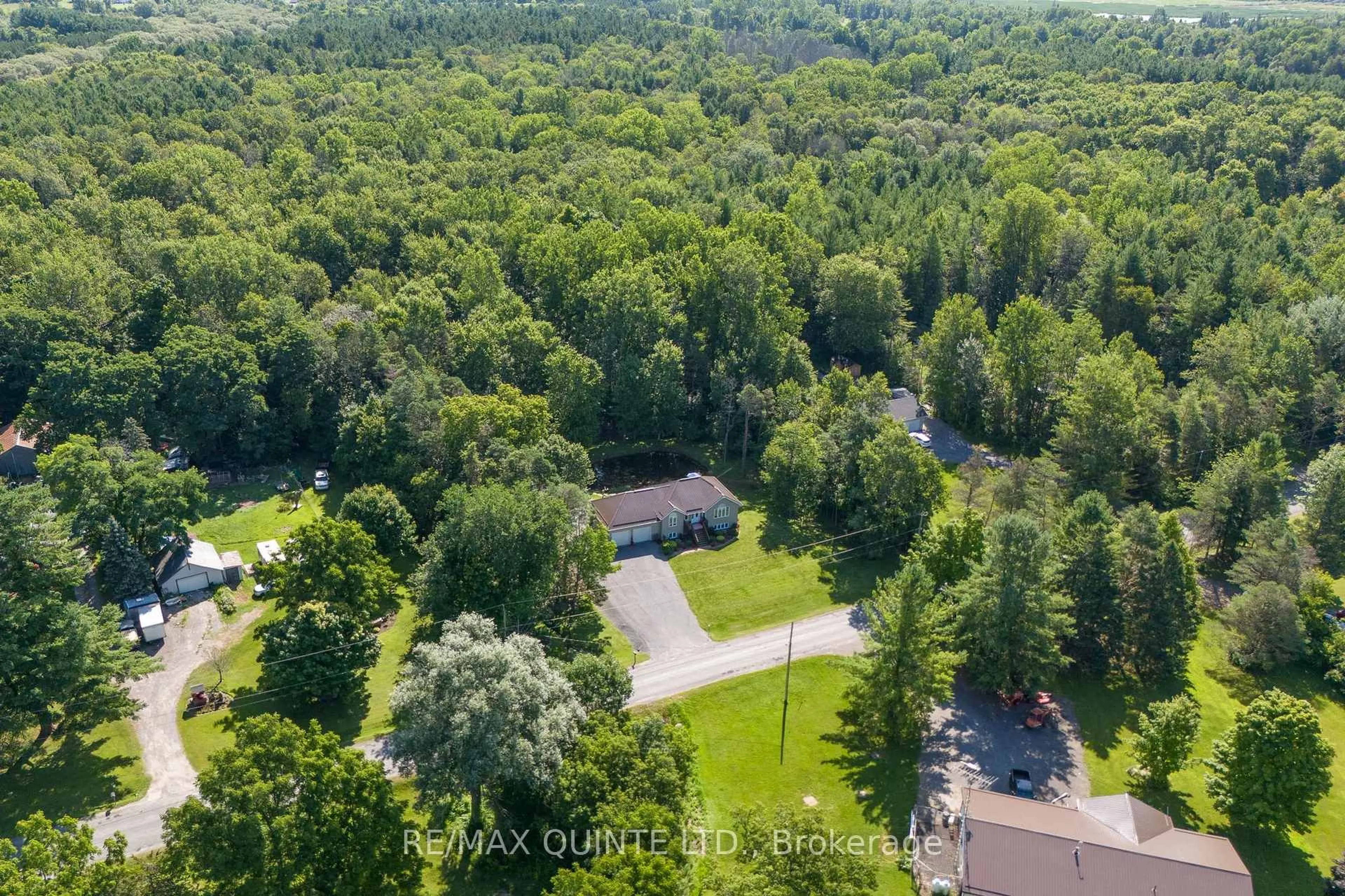 A pic from outside/outdoor area/front of a property/back of a property/a pic from drone, forest/trees view for 568 Baptist Church Rd, Stirling Ontario K0K 3E0