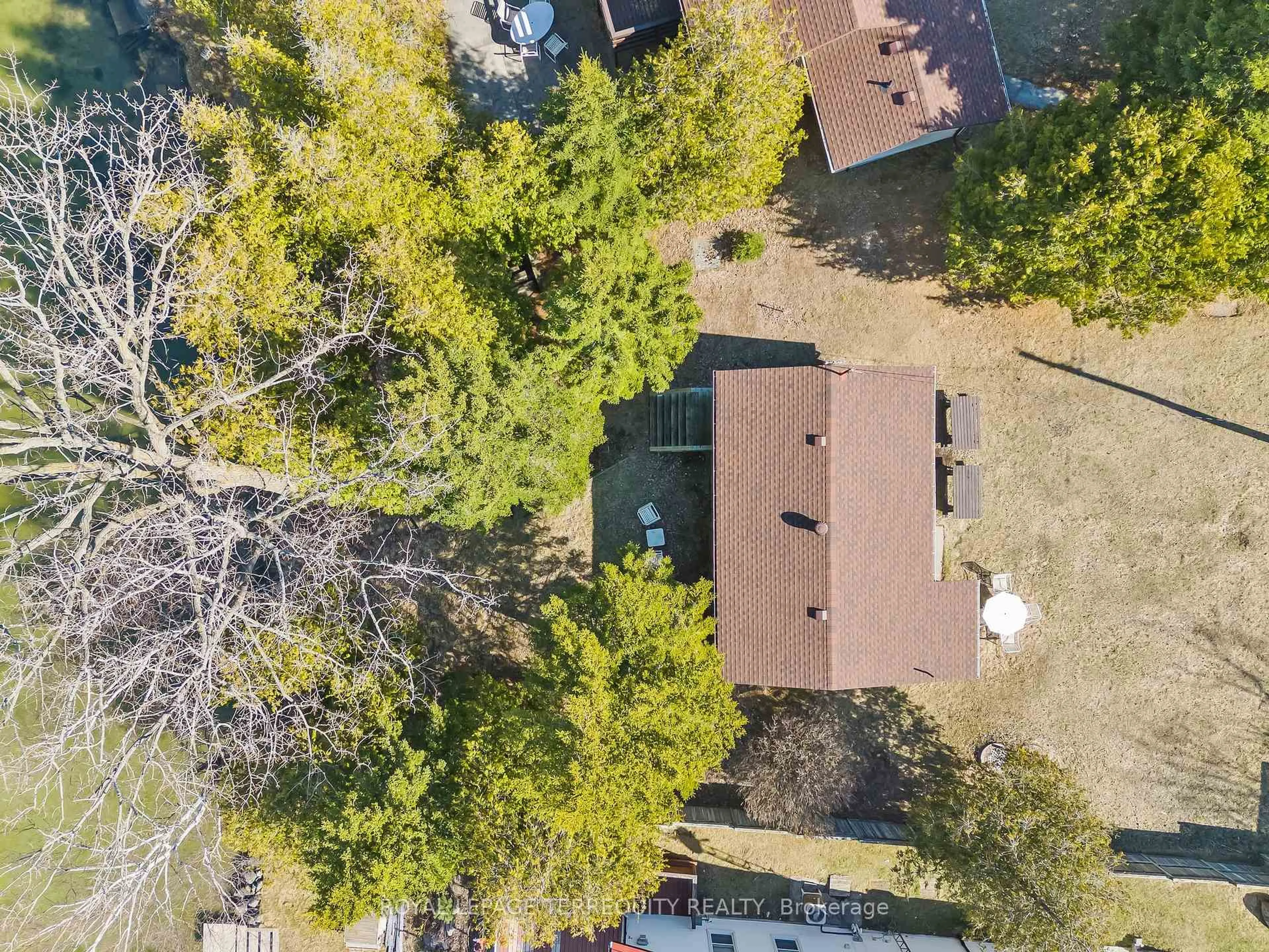 A pic from outside/outdoor area/front of a property/back of a property/a pic from drone, forest/trees view for 137 Lake Rd, Cramahe Ontario K0K 1S0