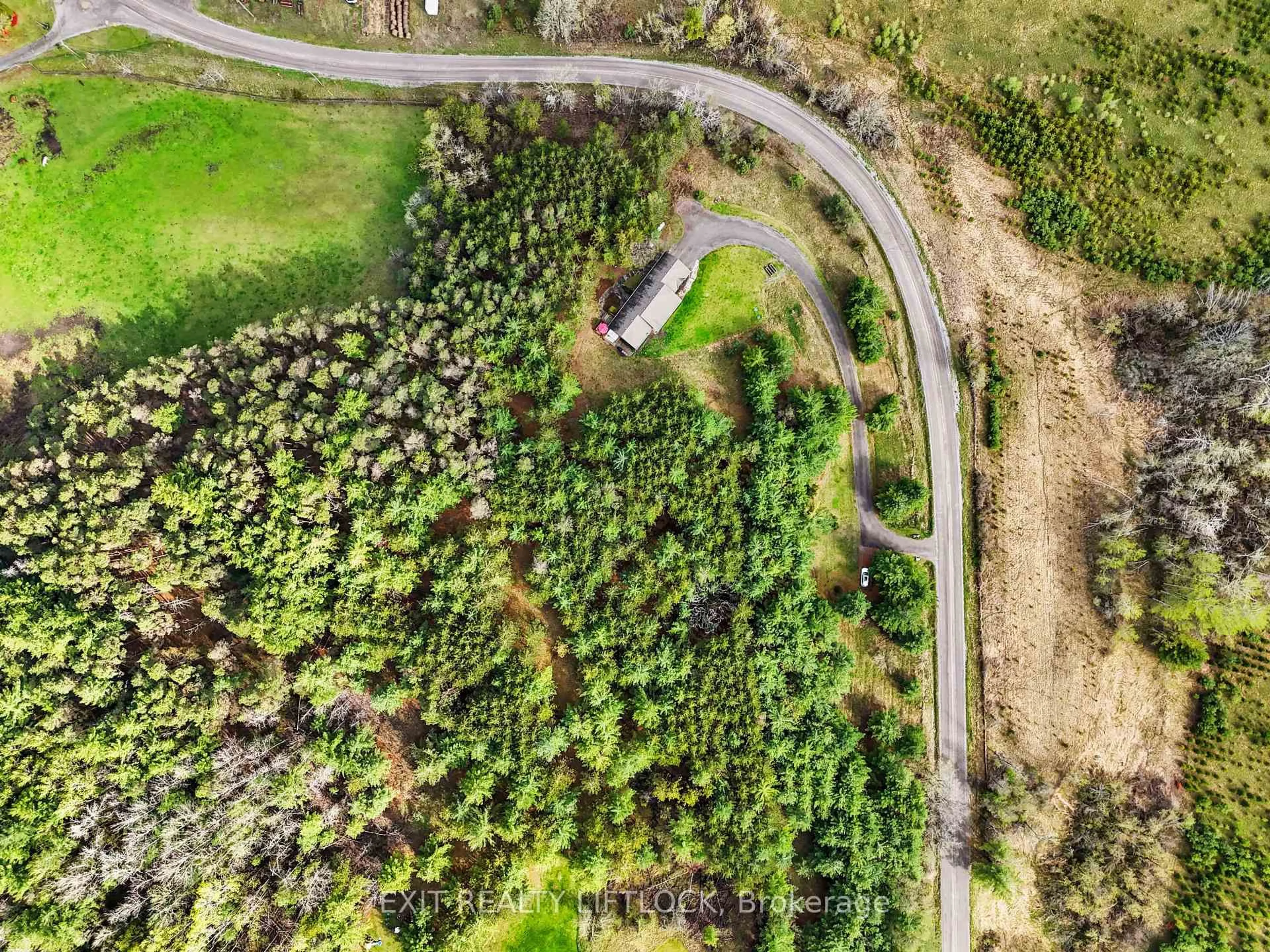 A pic from outside/outdoor area/front of a property/back of a property/a pic from drone, forest/trees view for 72 Campbell Rd, Trent Hills Ontario K0K 3K0