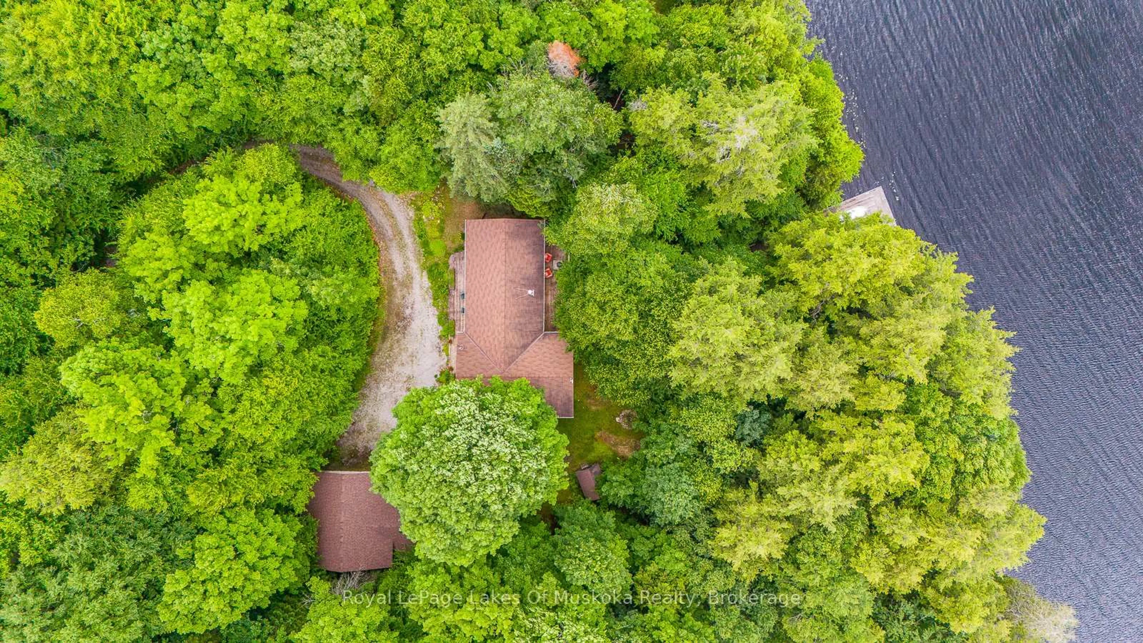 A pic from outside/outdoor area/front of a property/back of a property/a pic from drone, forest/trees view for 1096 FARMER HAYS Dr, Algonquin Highlands Ontario P0A 1E0