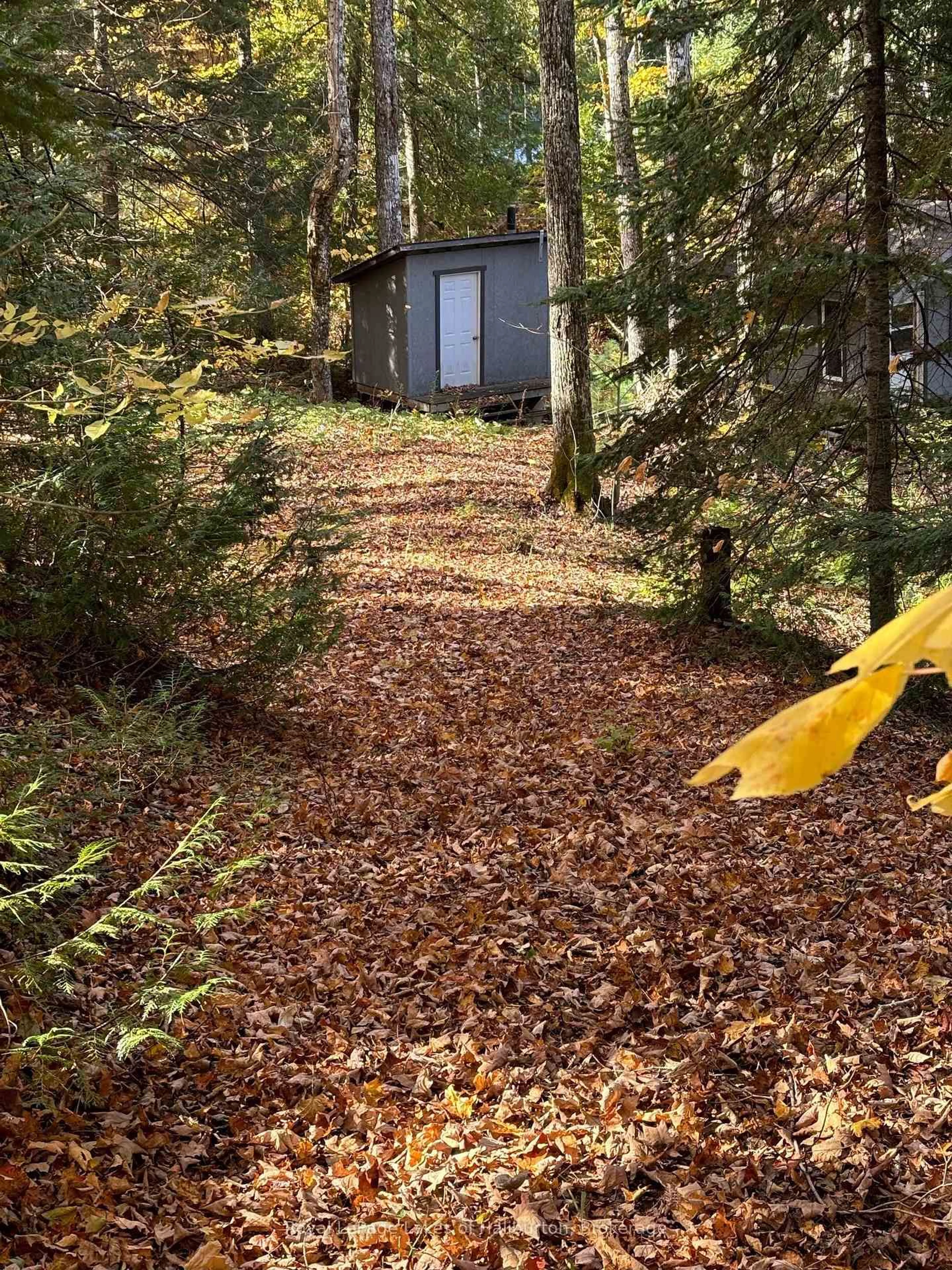 Shed for 8 Cannonball Lane, Minden Hills Ontario K0M 2A1