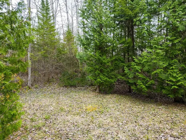 Additional property image - 64 Thompson Ave