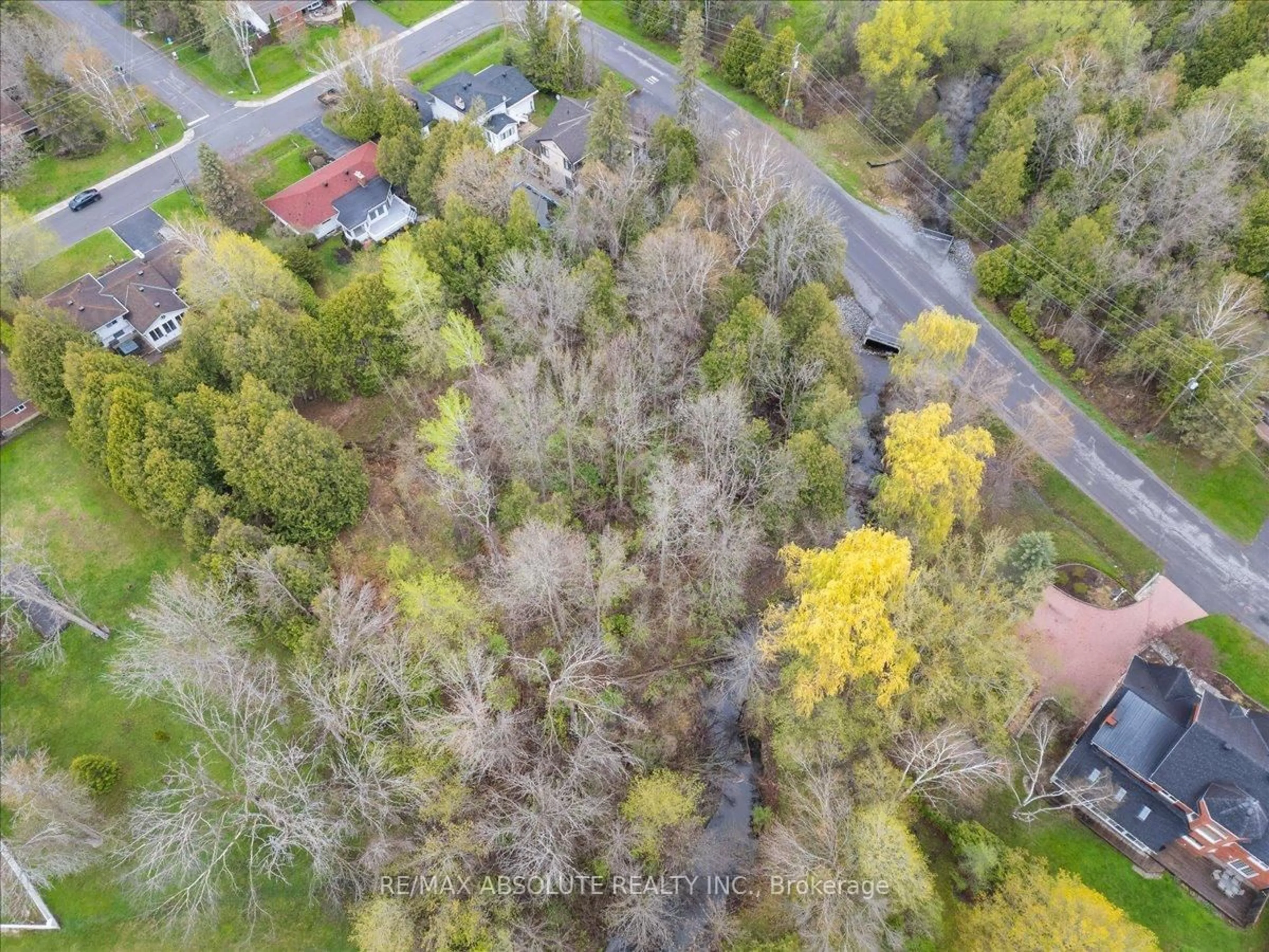 A pic from outside/outdoor area/front of a property/back of a property/a pic from drone, forest/trees view for 36 Beverly St, Ottawa Ontario K2S 0S2