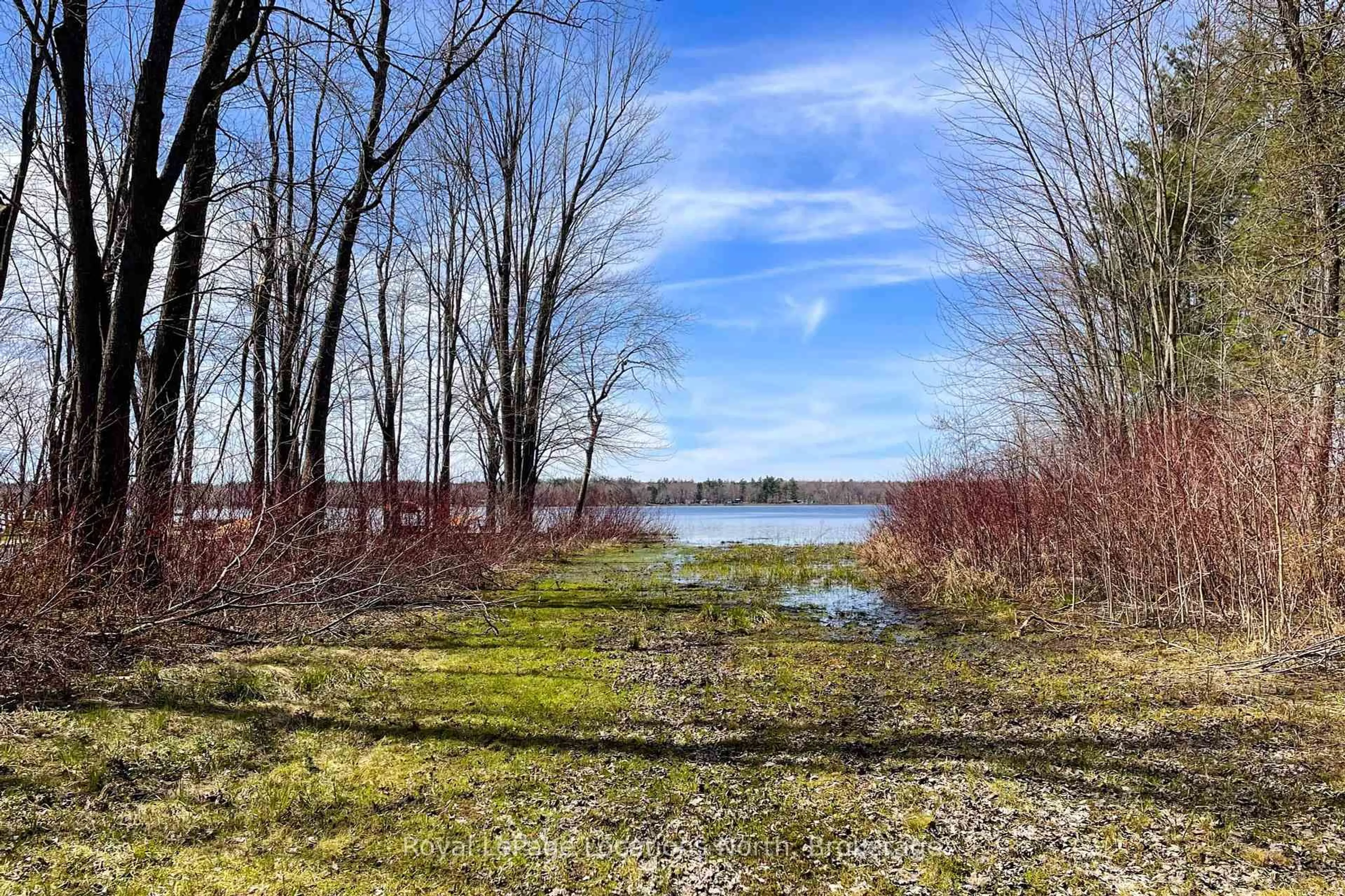 Unknown for 239 Monck Rd Cty 45 N/A, Kawartha Lakes Ontario L0K 1W0