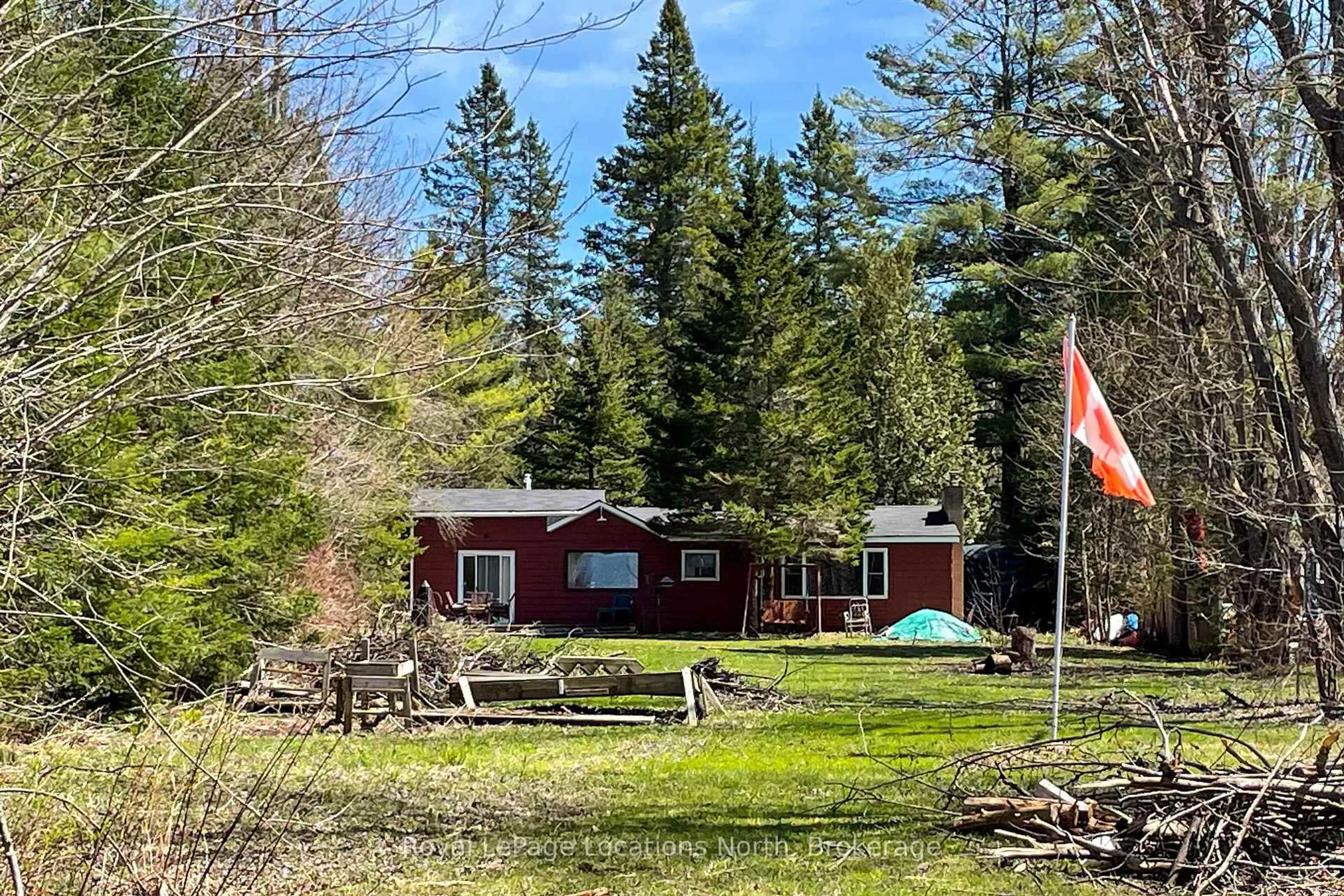 A pic from outside/outdoor area/front of a property/back of a property/a pic from drone, forest/trees view for 239 Monck Rd Cty 45 N/A, Kawartha Lakes Ontario L0K 1W0