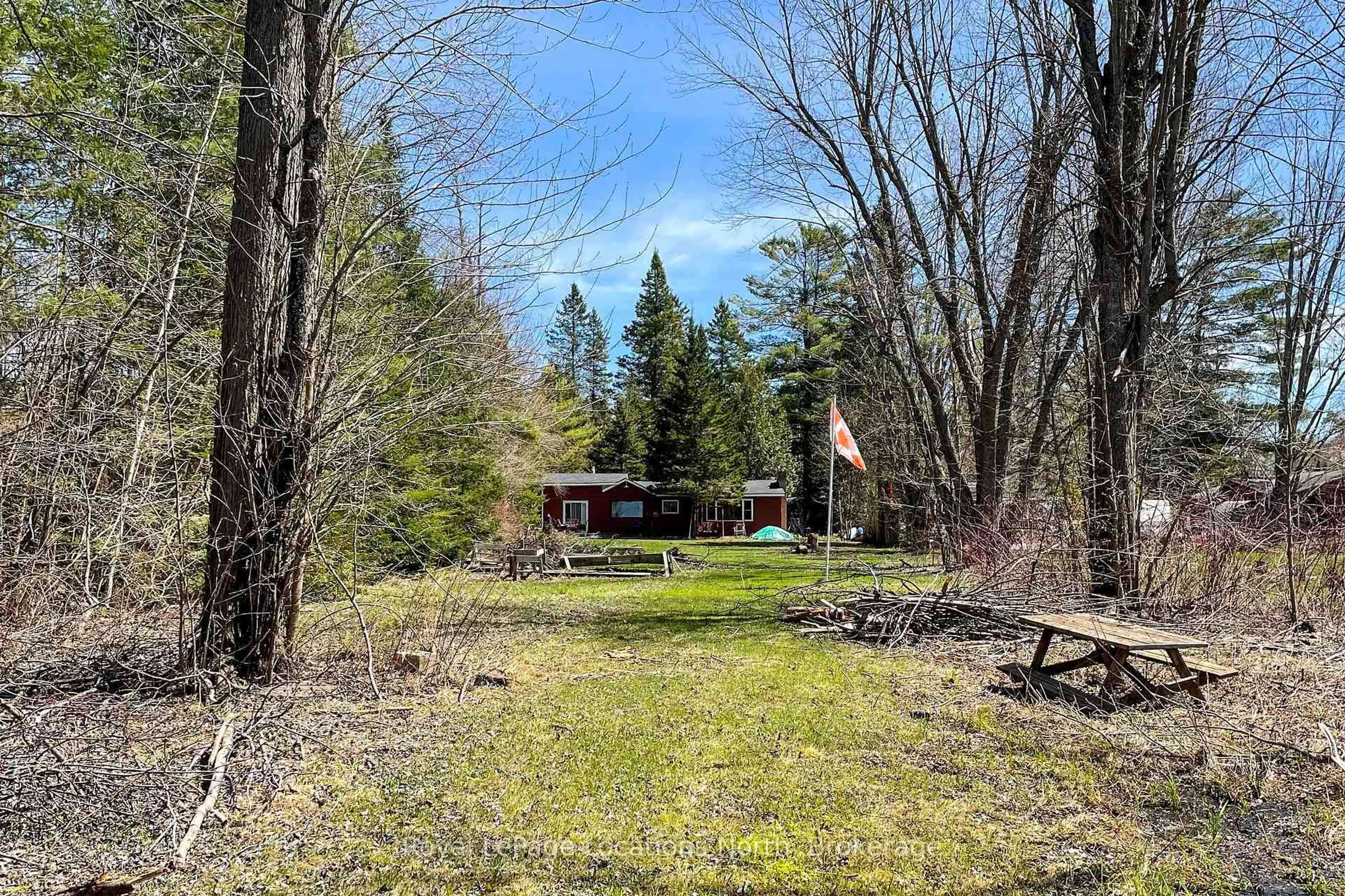 Patio, forest/trees view for 239 Monck Rd Cty 45 N/A, Kawartha Lakes Ontario L0K 1W0