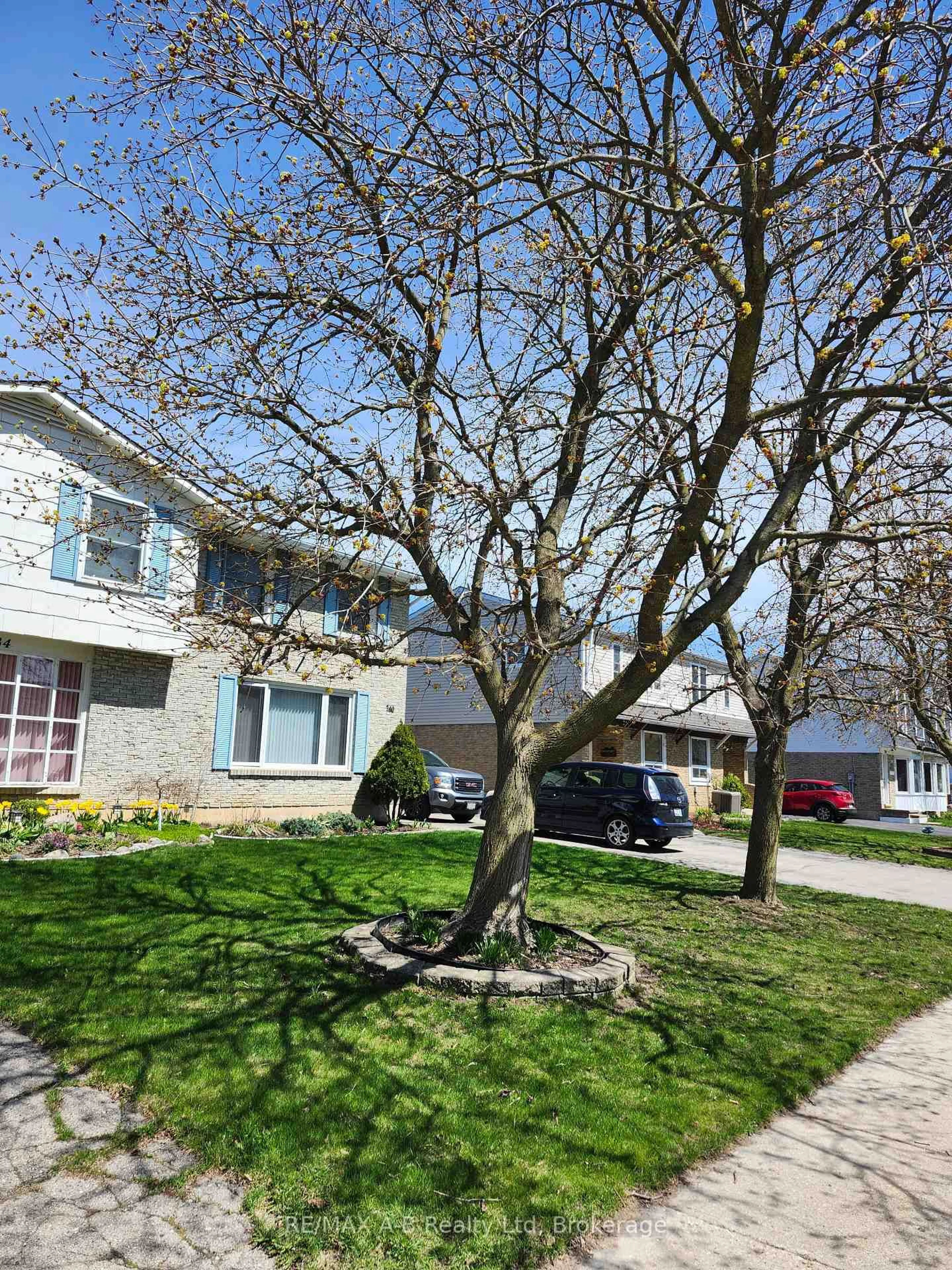 Home with vinyl exterior material, street for 234 Patricia Rd, Stratford Ontario N5A 7B4