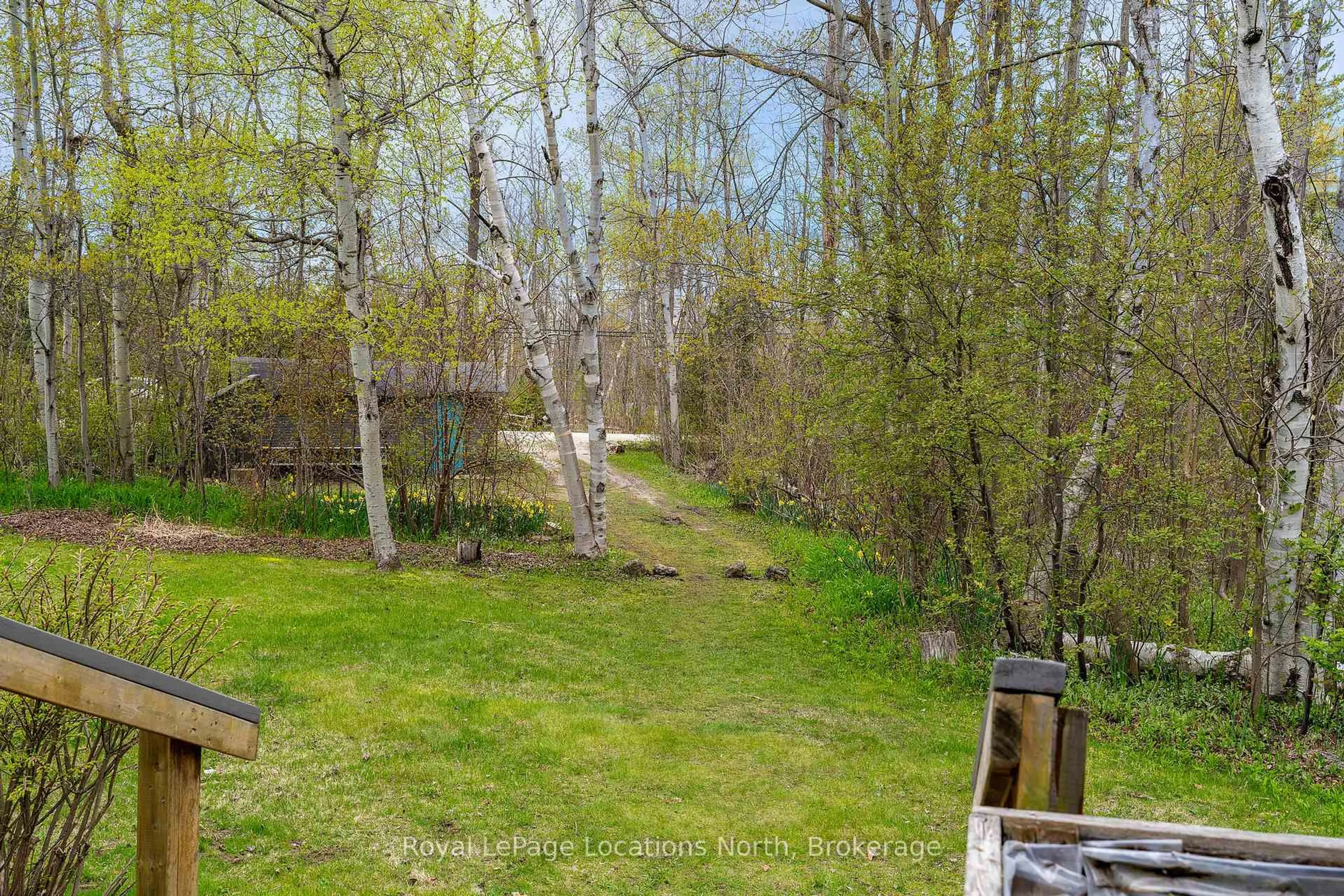 A pic from outside/outdoor area/front of a property/back of a property/a pic from drone, forest/trees view for 121 Hidden Lake Rd, Blue Mountains Ontario L9Y 0T6