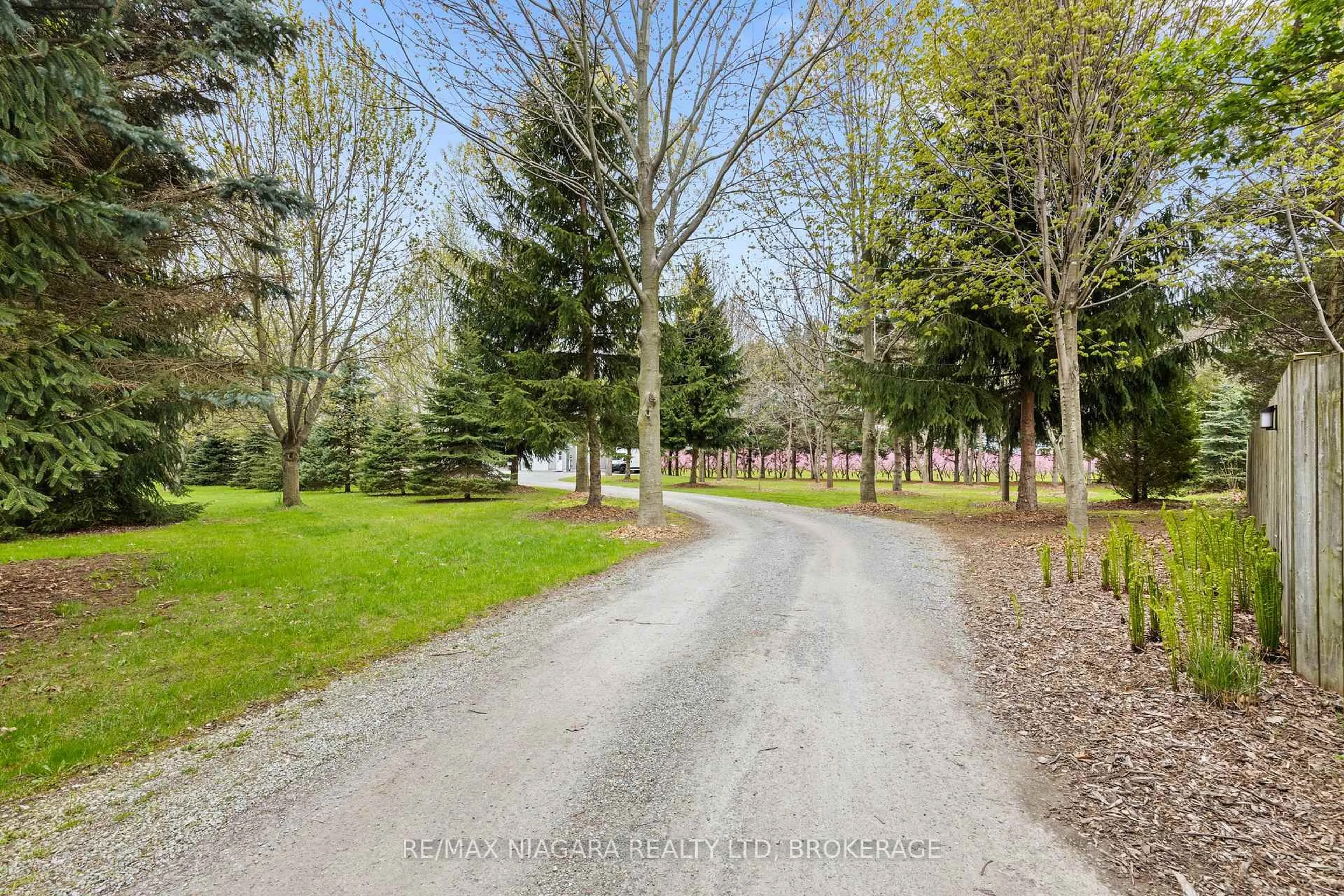 A pic from outside/outdoor area/front of a property/back of a property/a pic from drone, forest/trees view for 1382 MCNAB Rd, Niagara-on-the-Lake Ontario L0S 1J0