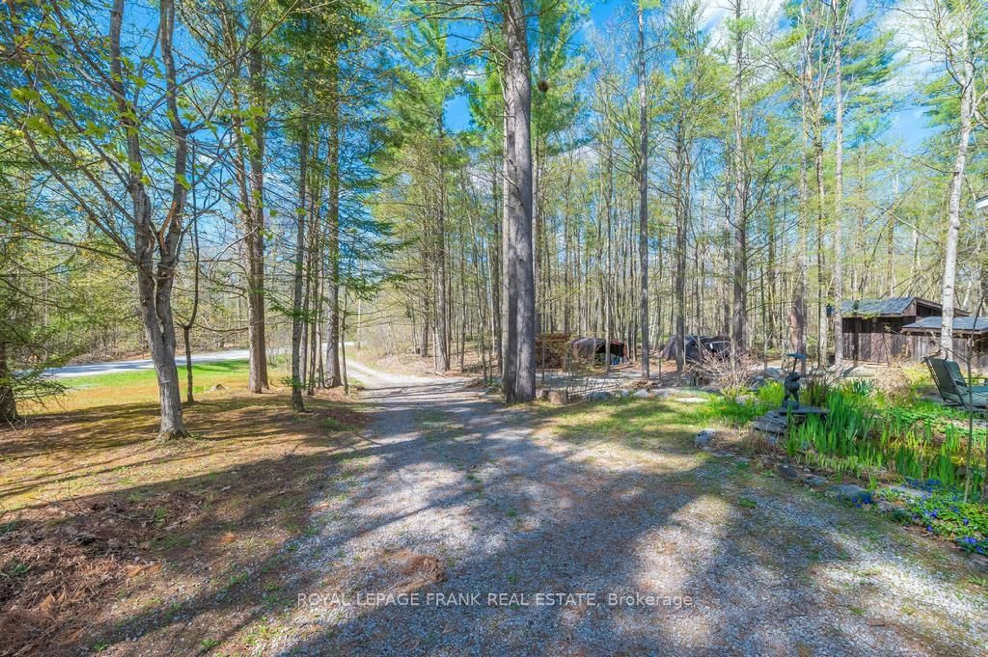 A pic from outside/outdoor area/front of a property/back of a property/a pic from drone, forest/trees view for 132 Sugarbush Cres, Trent Lakes Ontario K0L 1J0