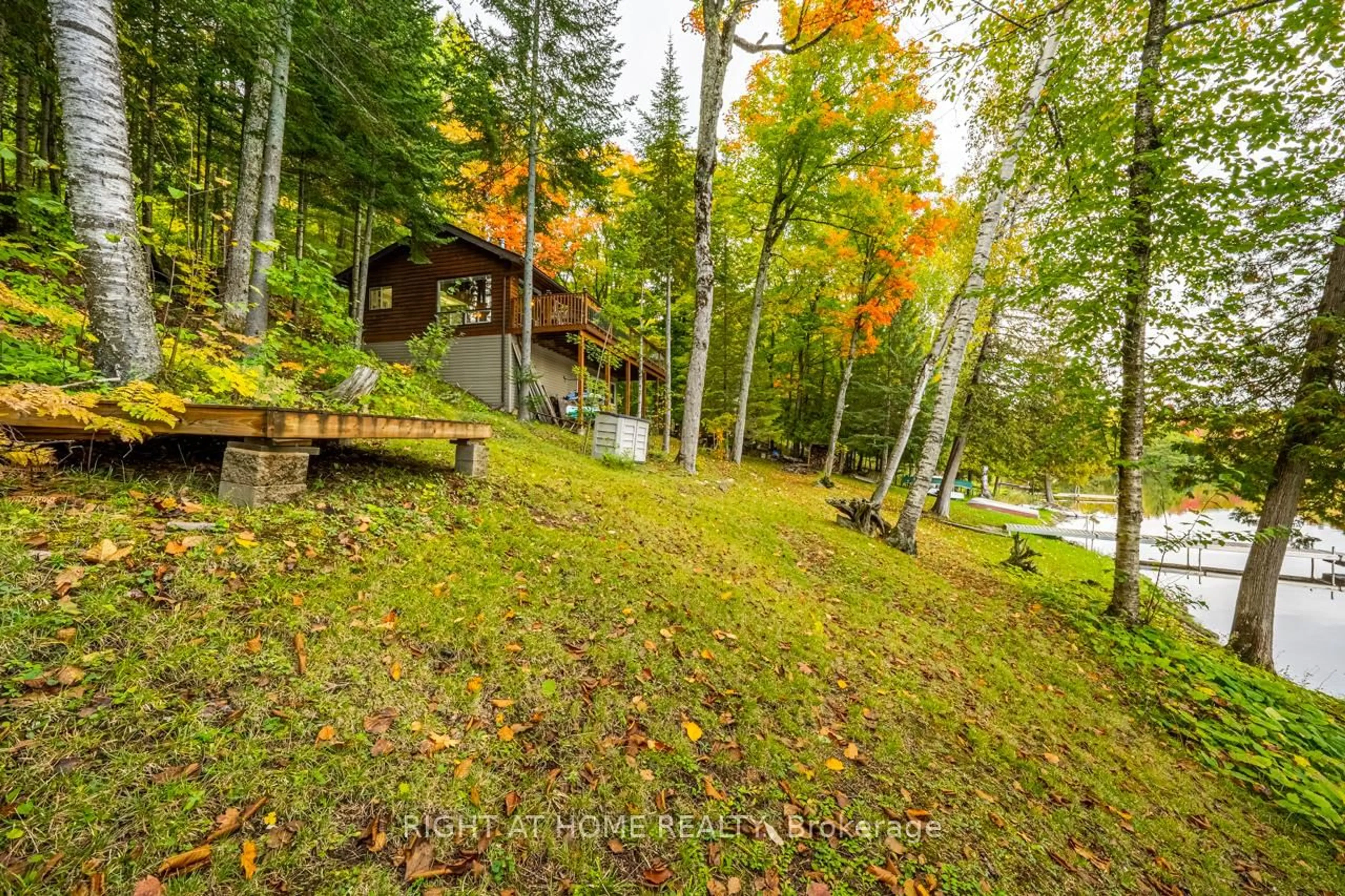 A pic from outside/outdoor area/front of a property/back of a property/a pic from drone, forest/trees view for 1220 Portage Lake Rd, Dysart et al Ontario K0M 1S0