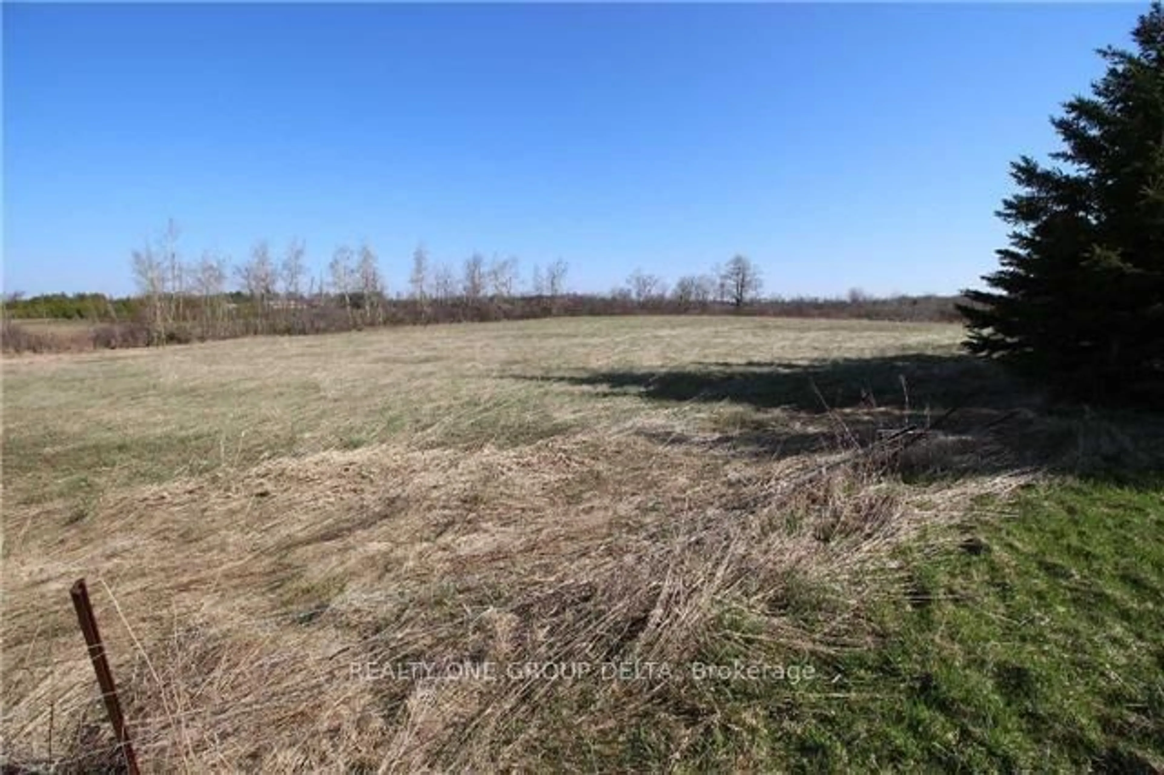 A pic from outside/outdoor area/front of a property/back of a property/a pic from drone, forest/trees view for 772789 Highway 10, Grey Highlands Ontario N0B 1C0