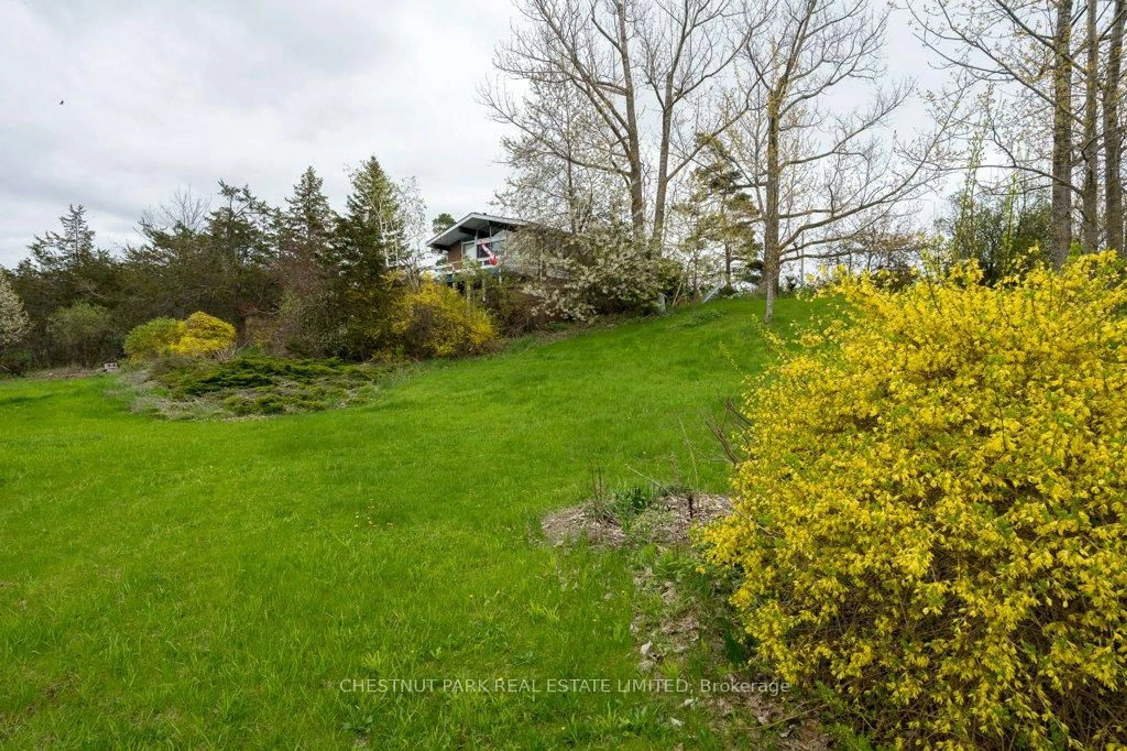 A pic from outside/outdoor area/front of a property/back of a property/a pic from drone, forest/trees view for 2035 County Rd 7 N/A, Prince Edward County Ontario K0K 2T0
