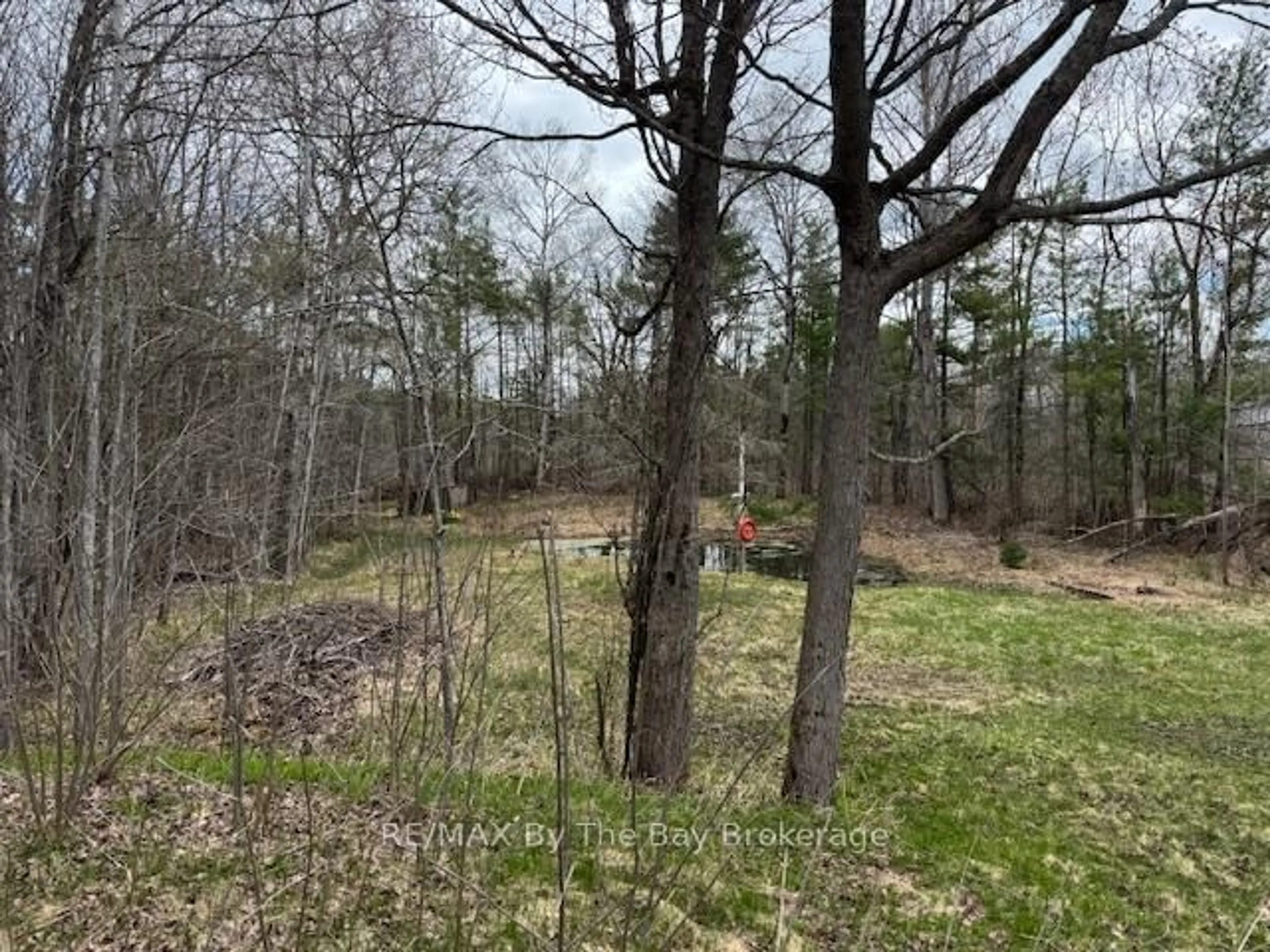 A pic from outside/outdoor area/front of a property/back of a property/a pic from drone, forest/trees view for 1750 Honey Harbour Rd, Georgian Bay Ontario P0E 1E0