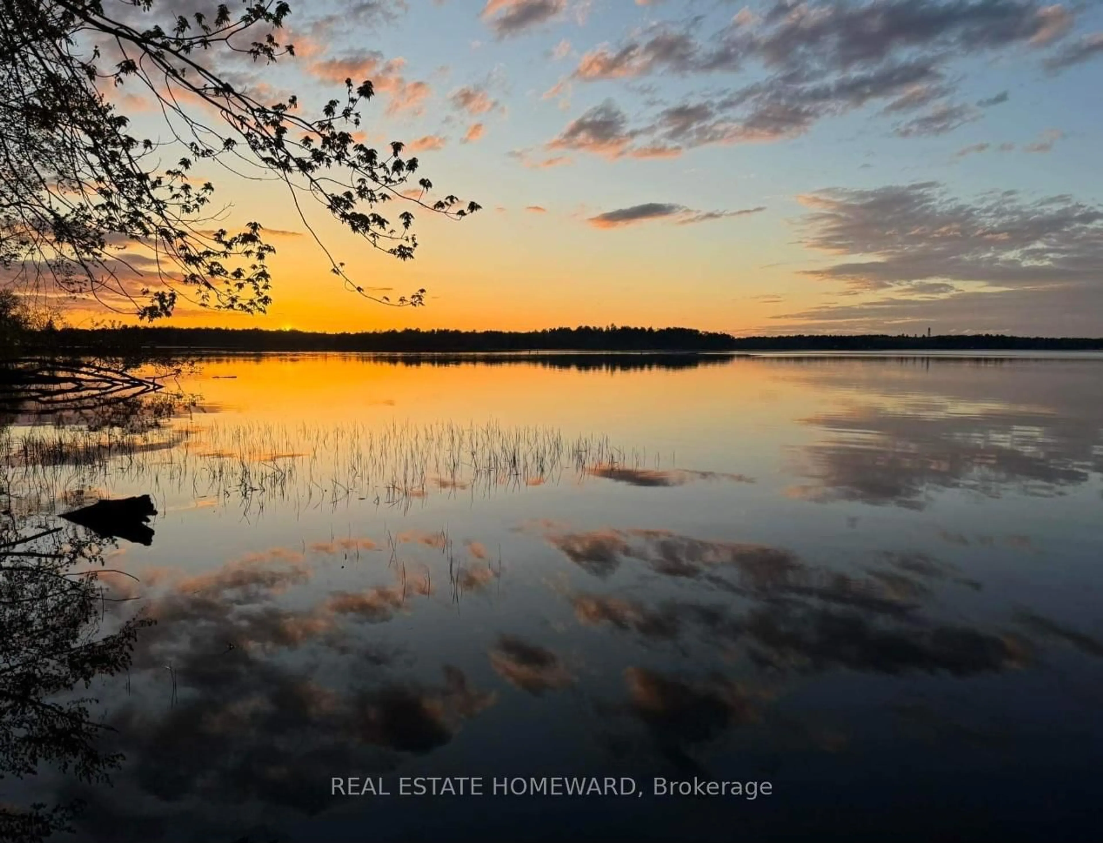 Unknown for 1046 Bea Dale Lane, Gravenhurst Ontario P0E 1N0