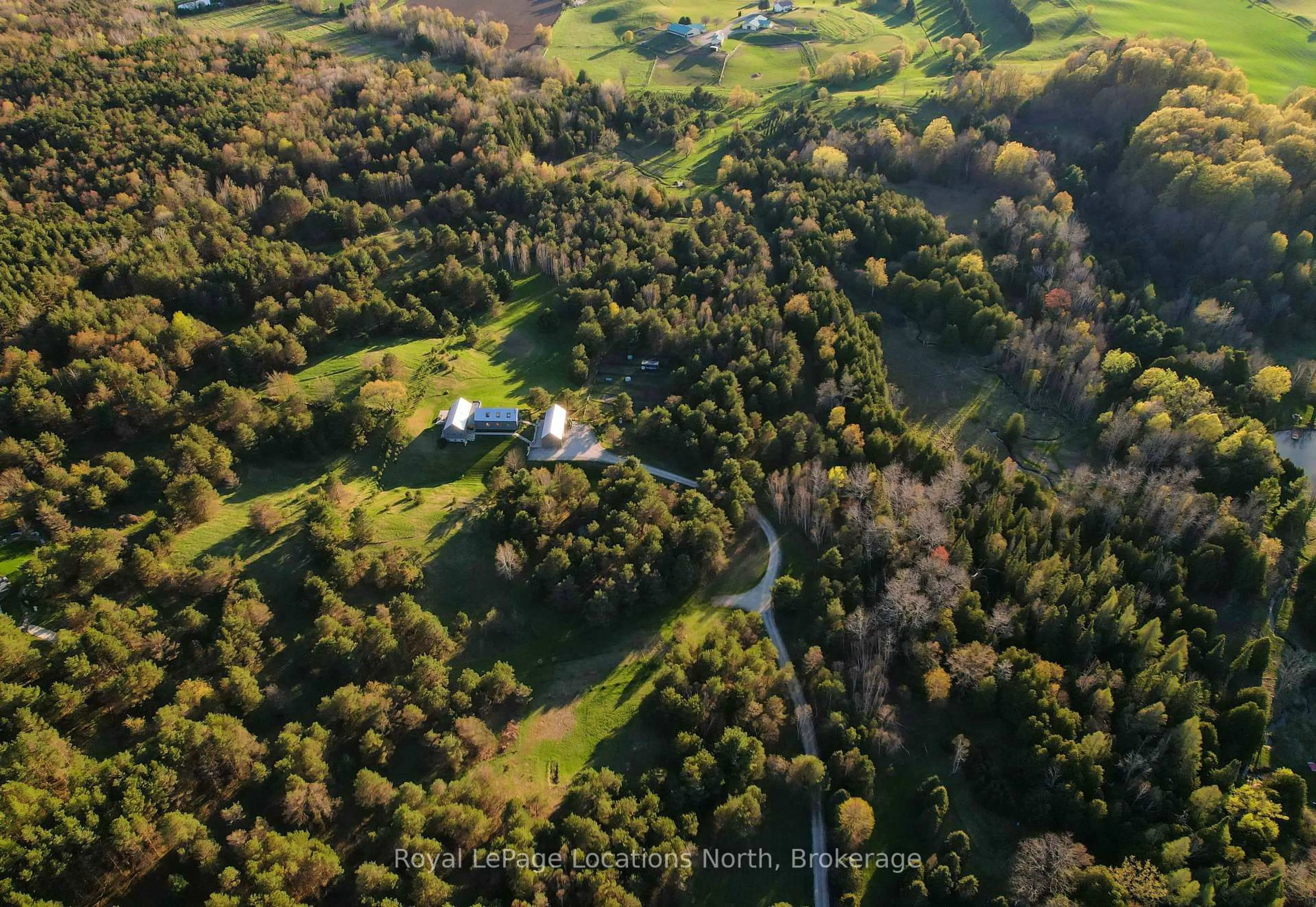 A pic from outside/outdoor area/front of a property/back of a property/a pic from drone, forest/trees view for 938444 Airport Rd, Mulmur Ontario L9V 0M1